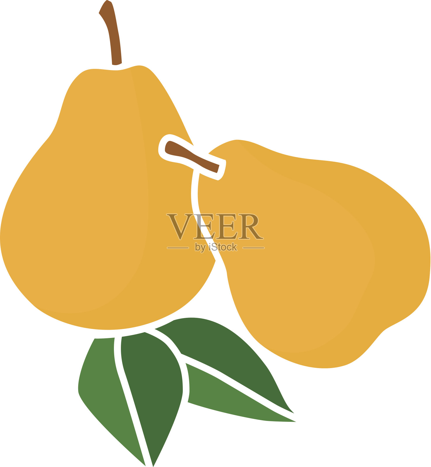 梨的颜色插画图片素材