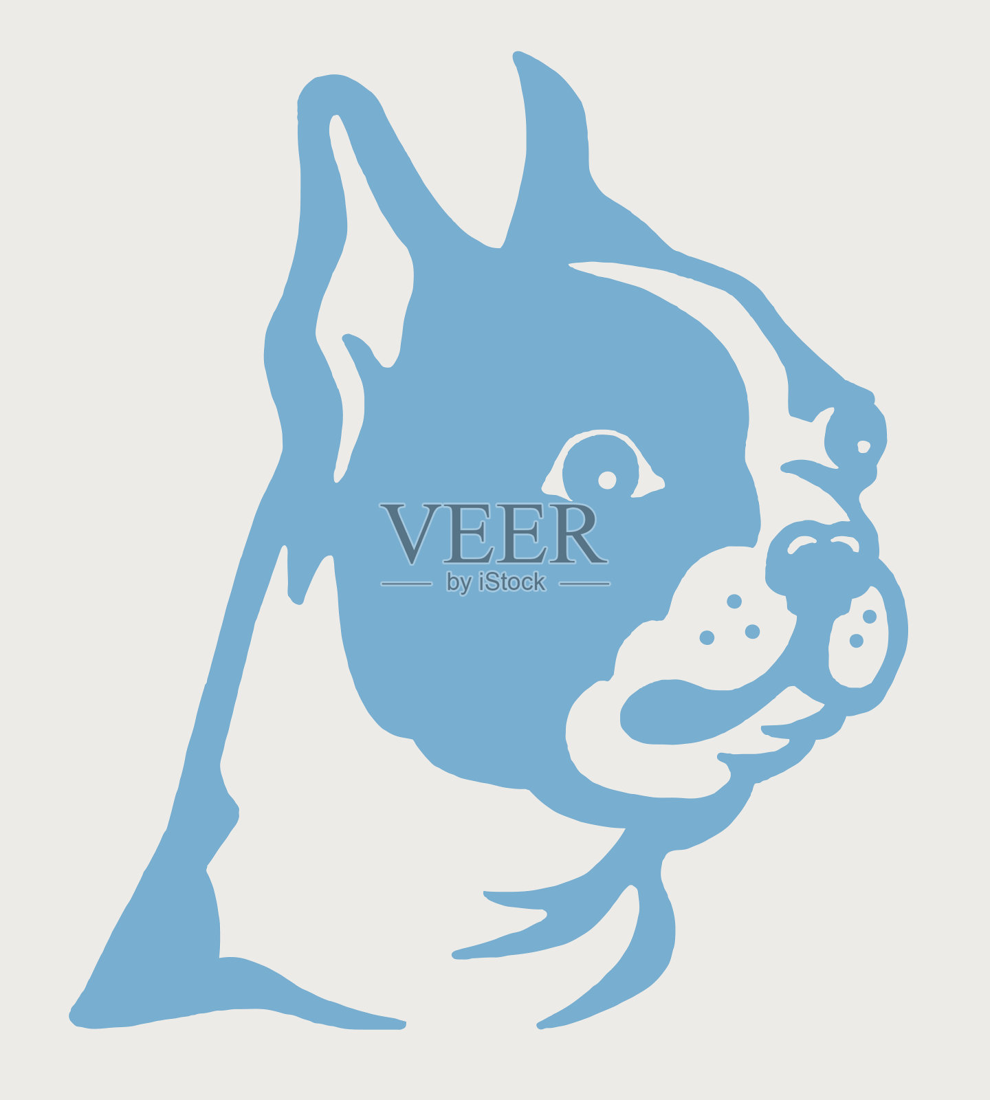 波士顿梗犬插画图片素材