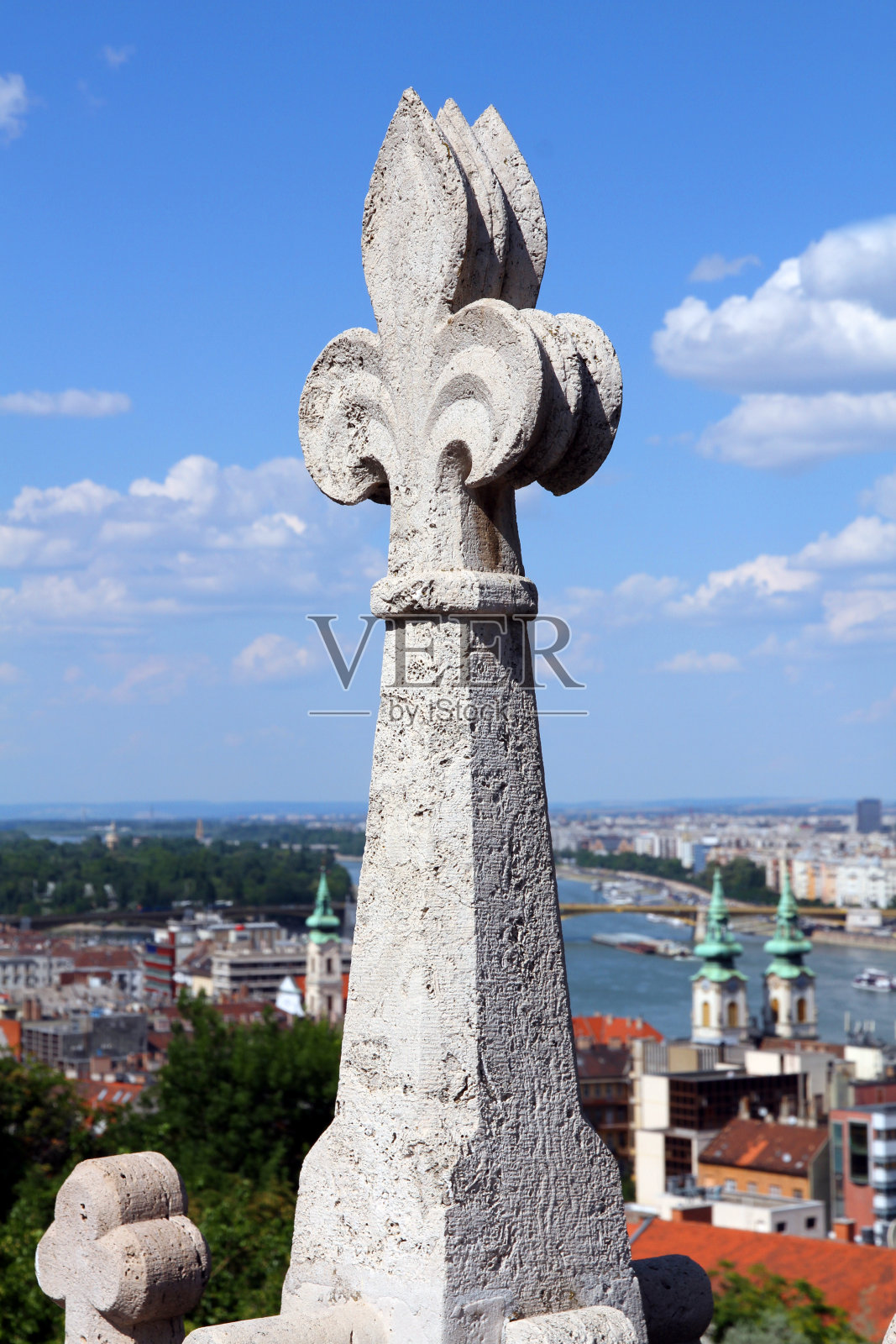 百合花照片摄影图片