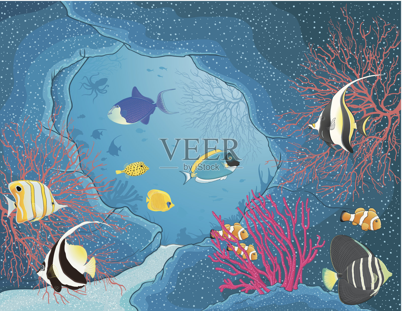 红海鱼/红底鱼插画图片素材