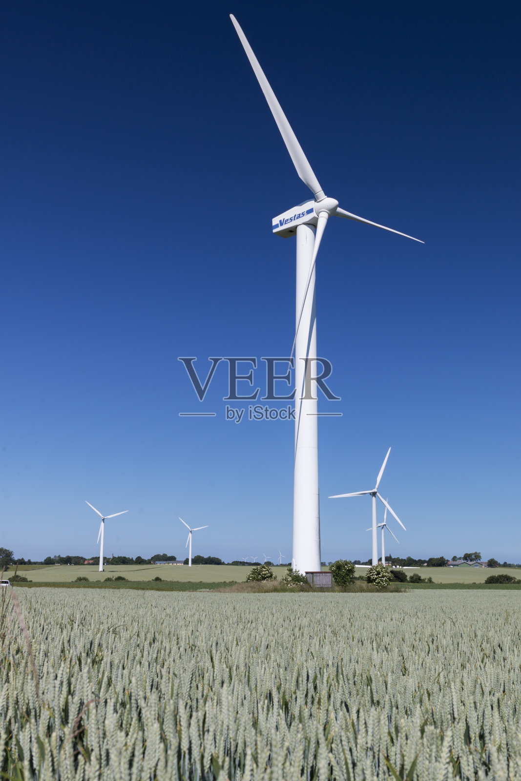 替代能源。风能。维斯塔斯。照片摄影图片