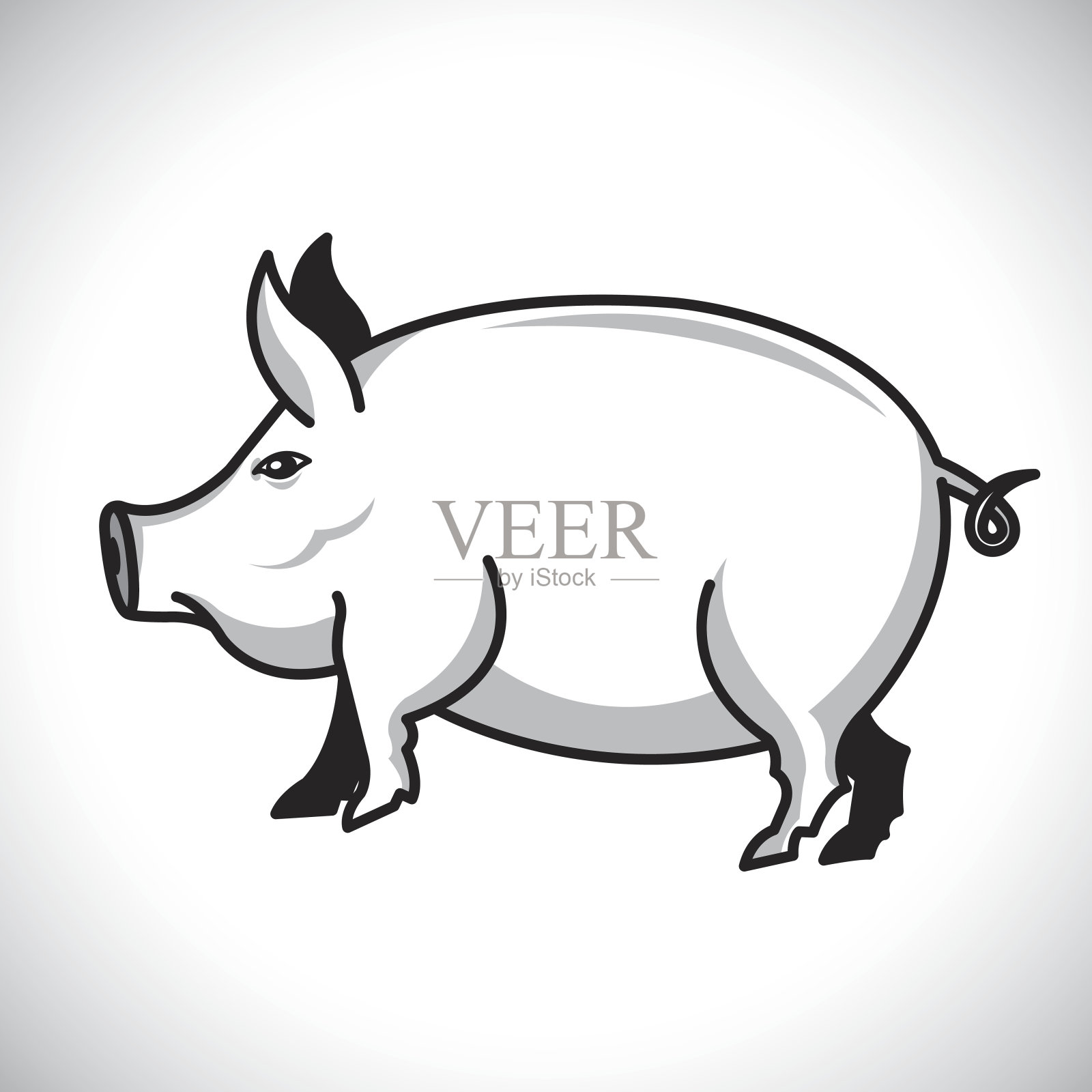 猪向量设计元素图片