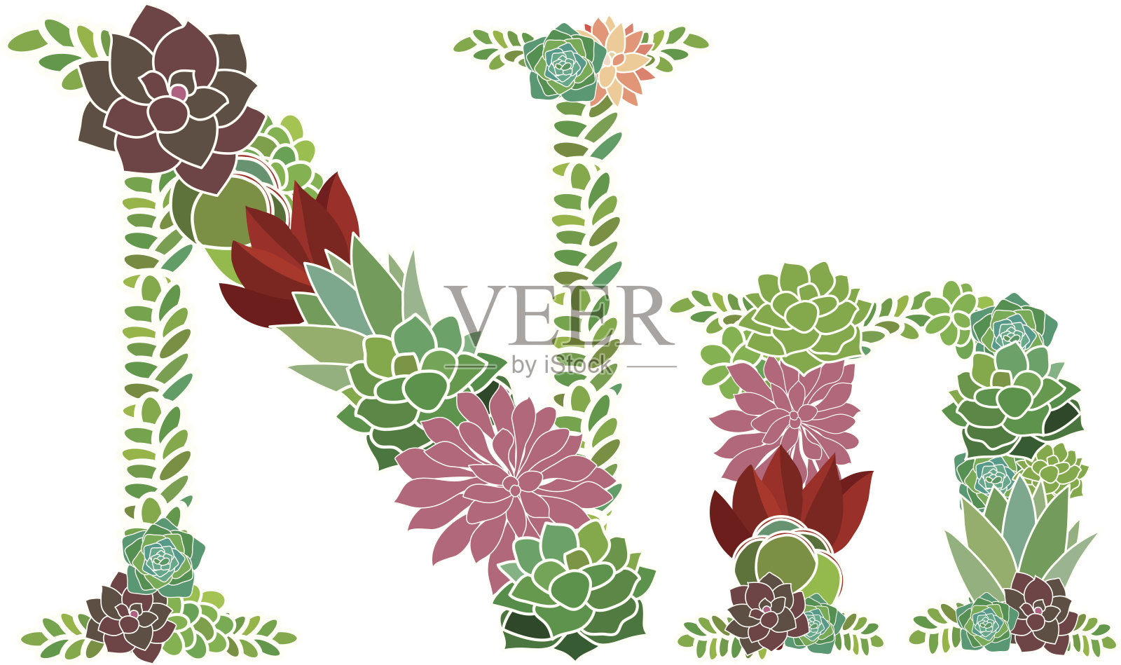 肉质字母N和N插画图片素材