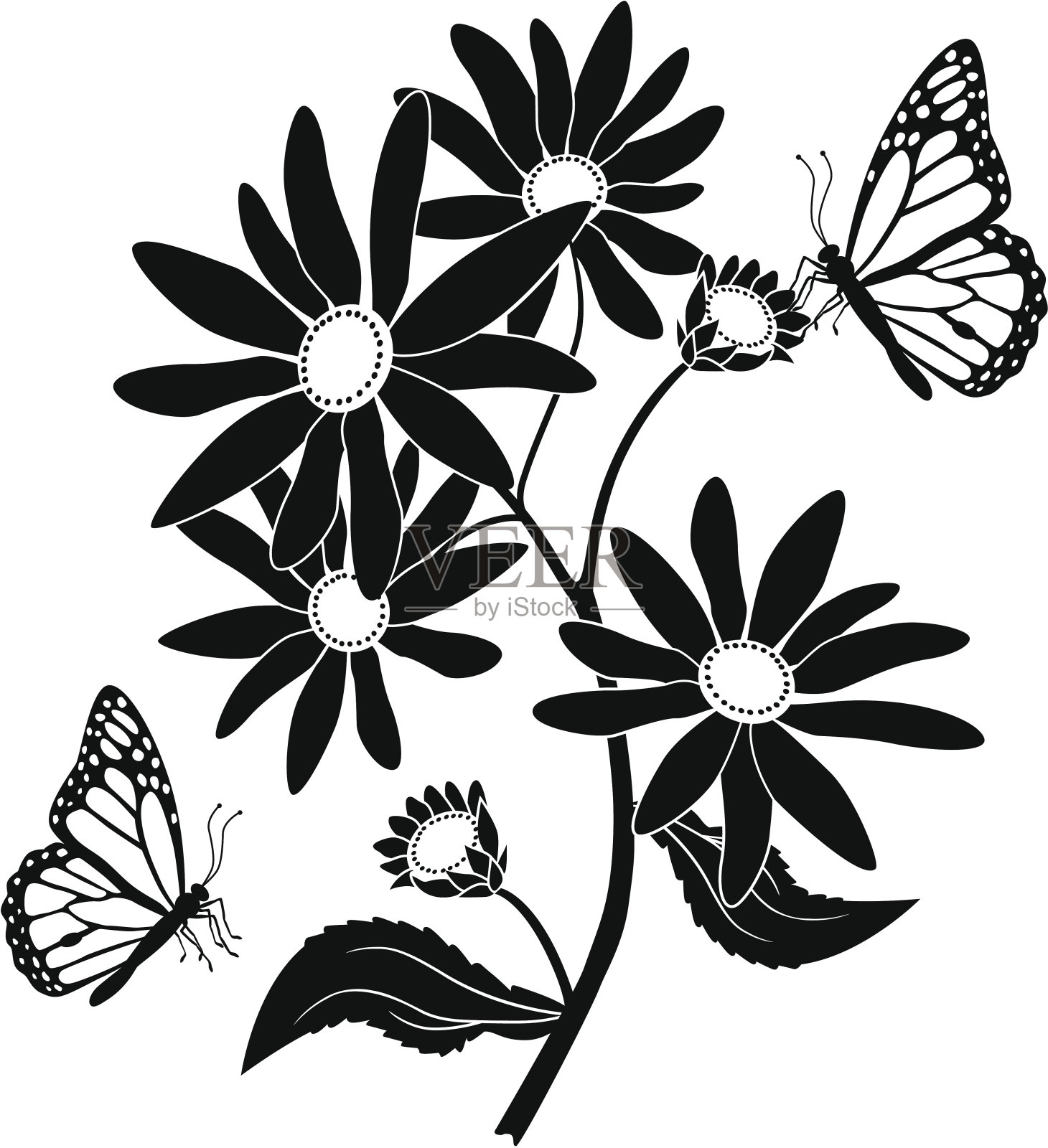 黑眼睛的苏珊和黑脉金斑蝶插画图片素材