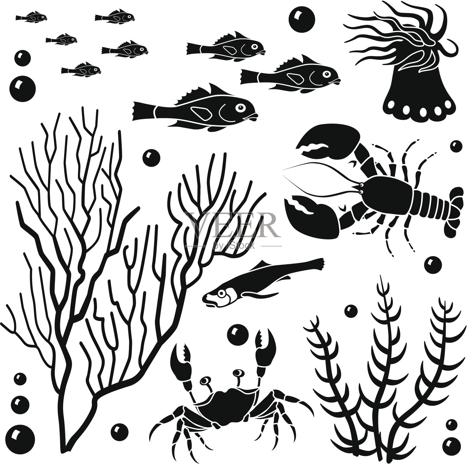 海洋生物设计元素插画图片素材