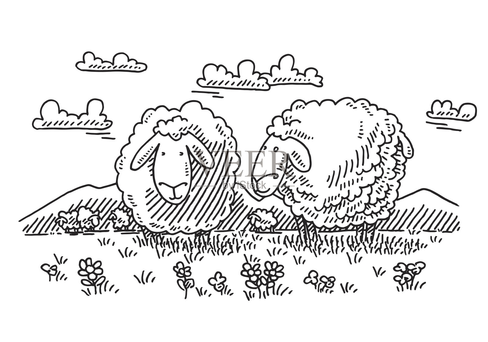 在草地上看卡通羊插画图片素材