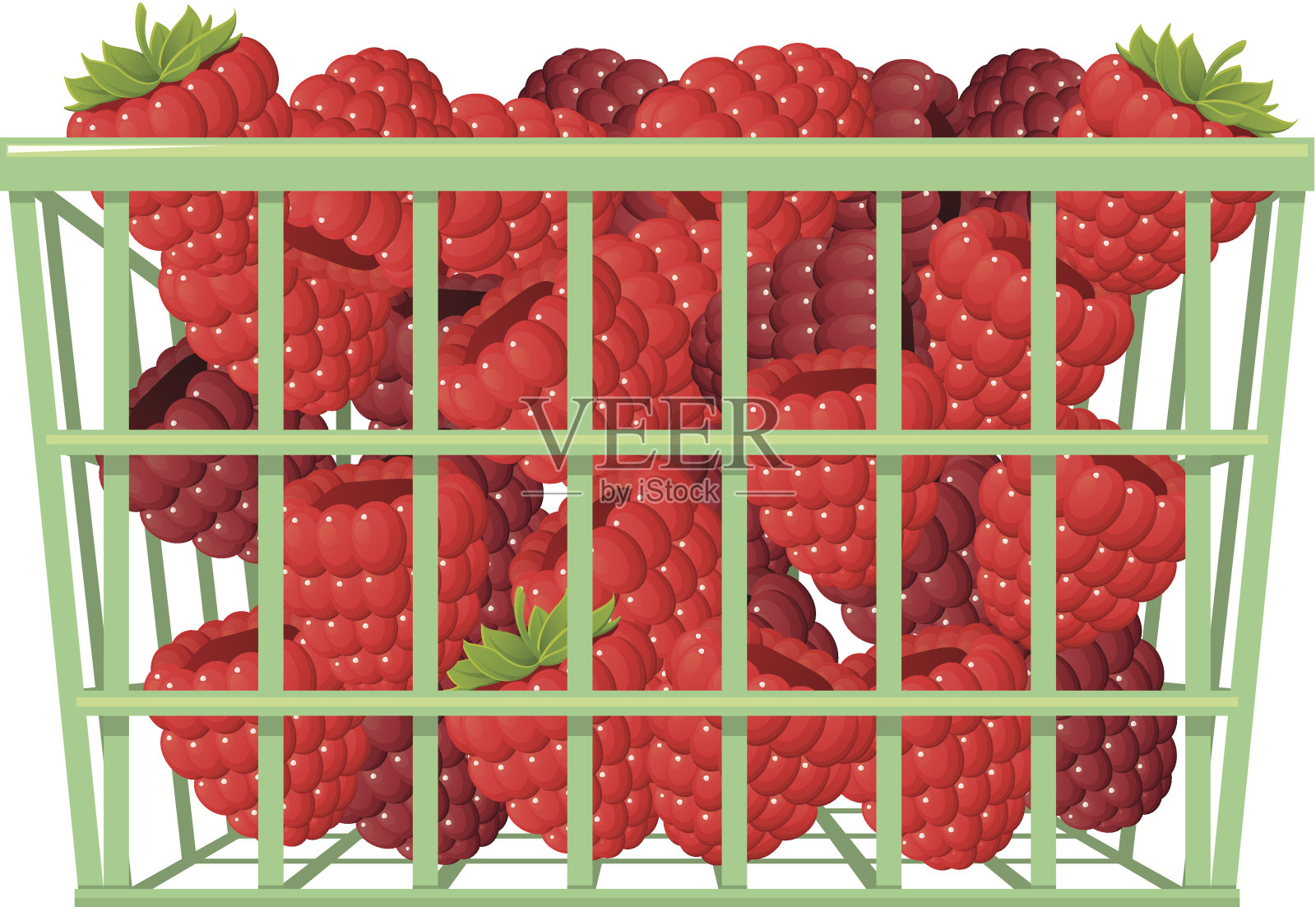 篮子浆果插画图片素材