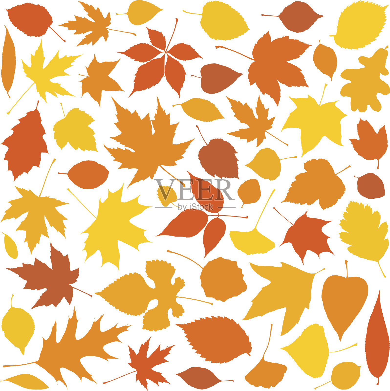 秋天的落叶插画图片素材