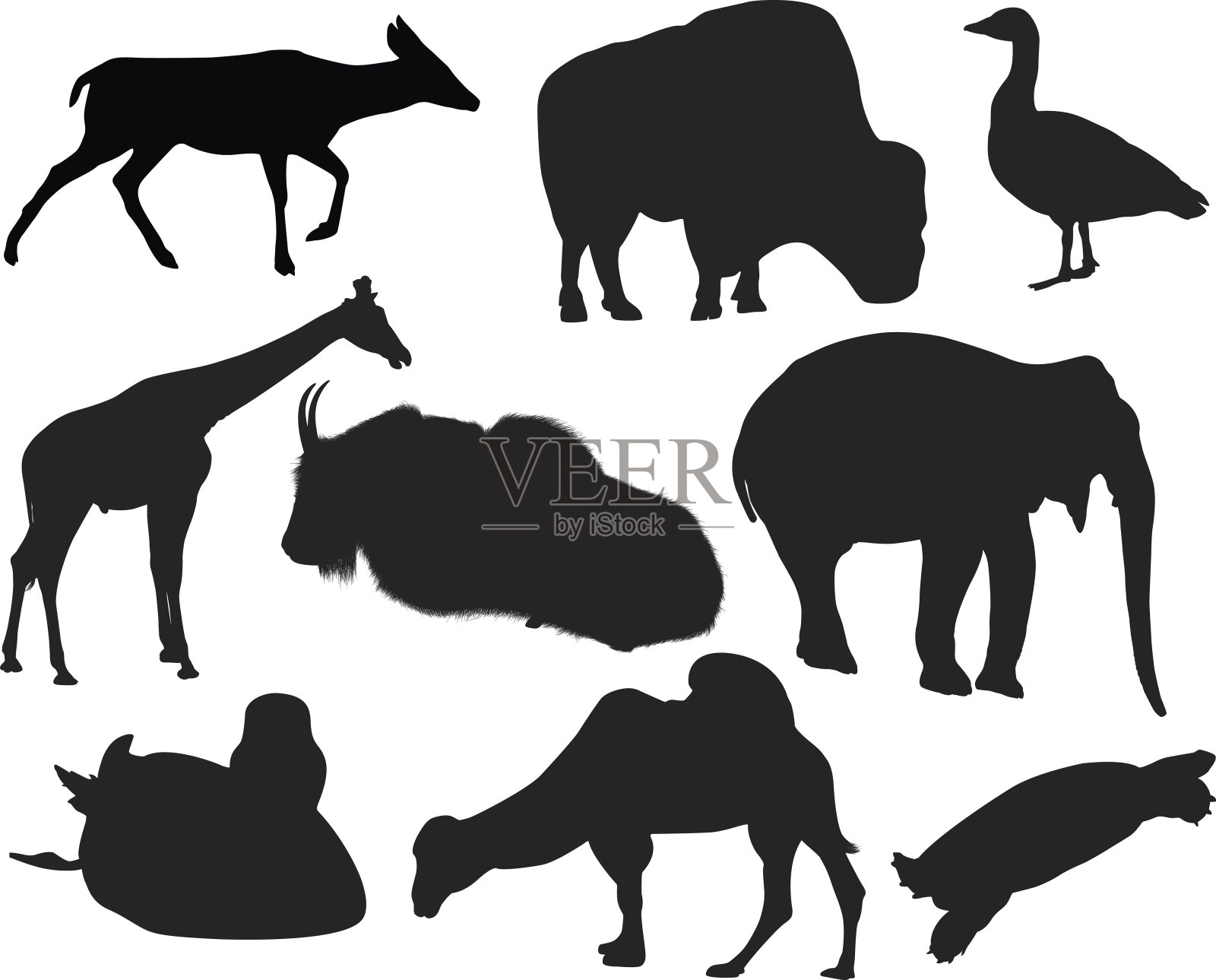 矢量图形的各种动物插画图片素材