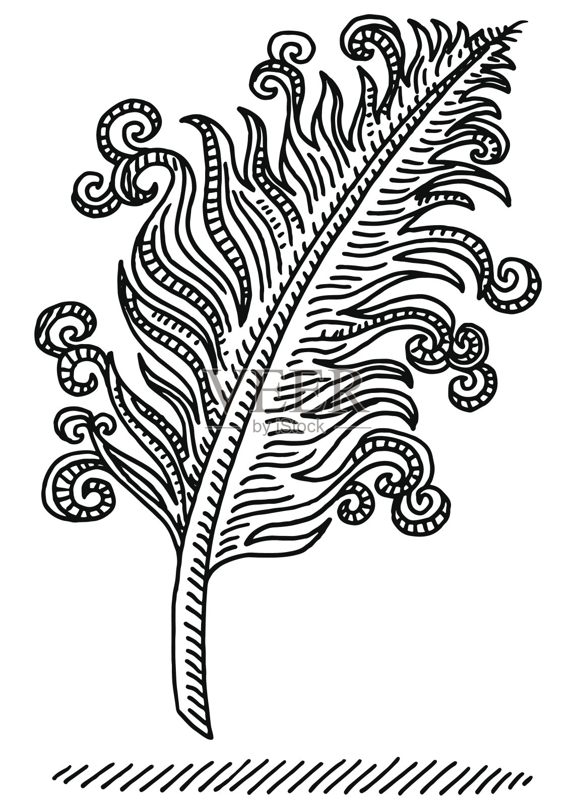 羽毛漩涡吸引插画图片素材