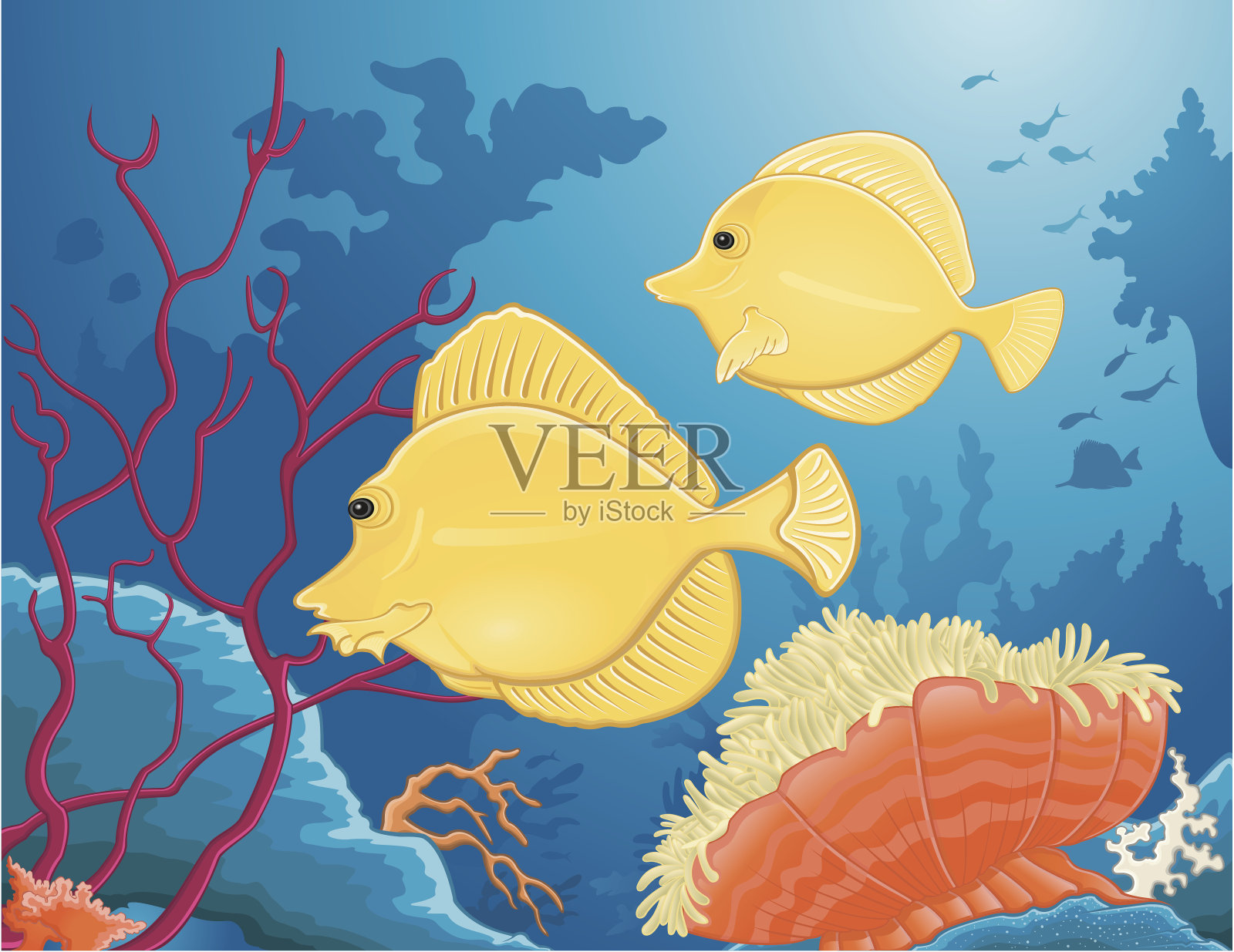 黄汤鱼外科医生插画图片素材