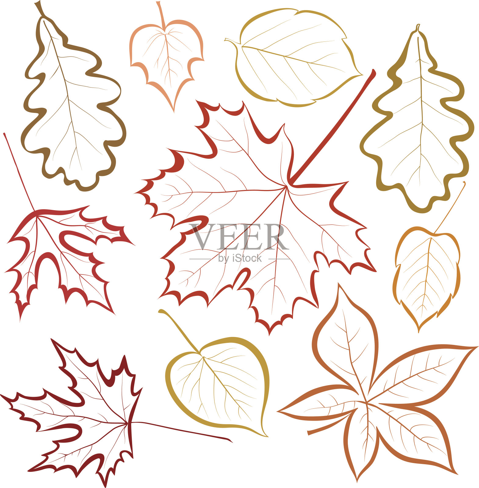 秋天的落叶插画图片素材