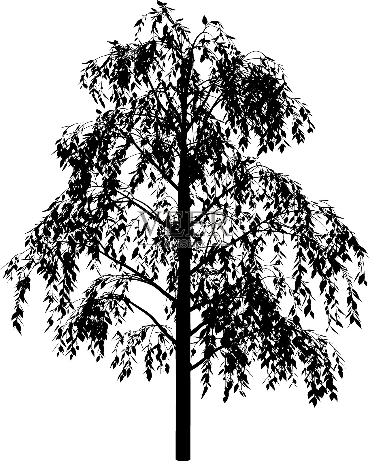 桦木设计元素图片