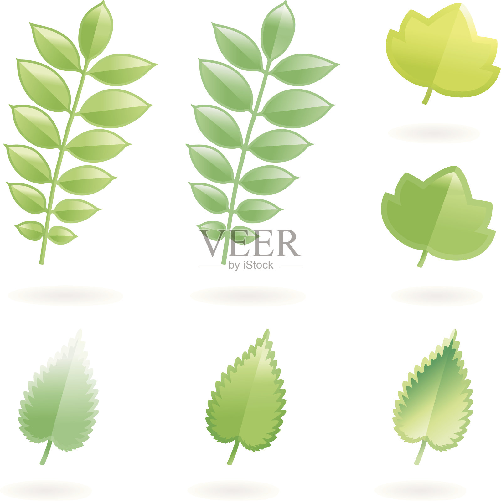 柔软的树叶十三世插画图片素材