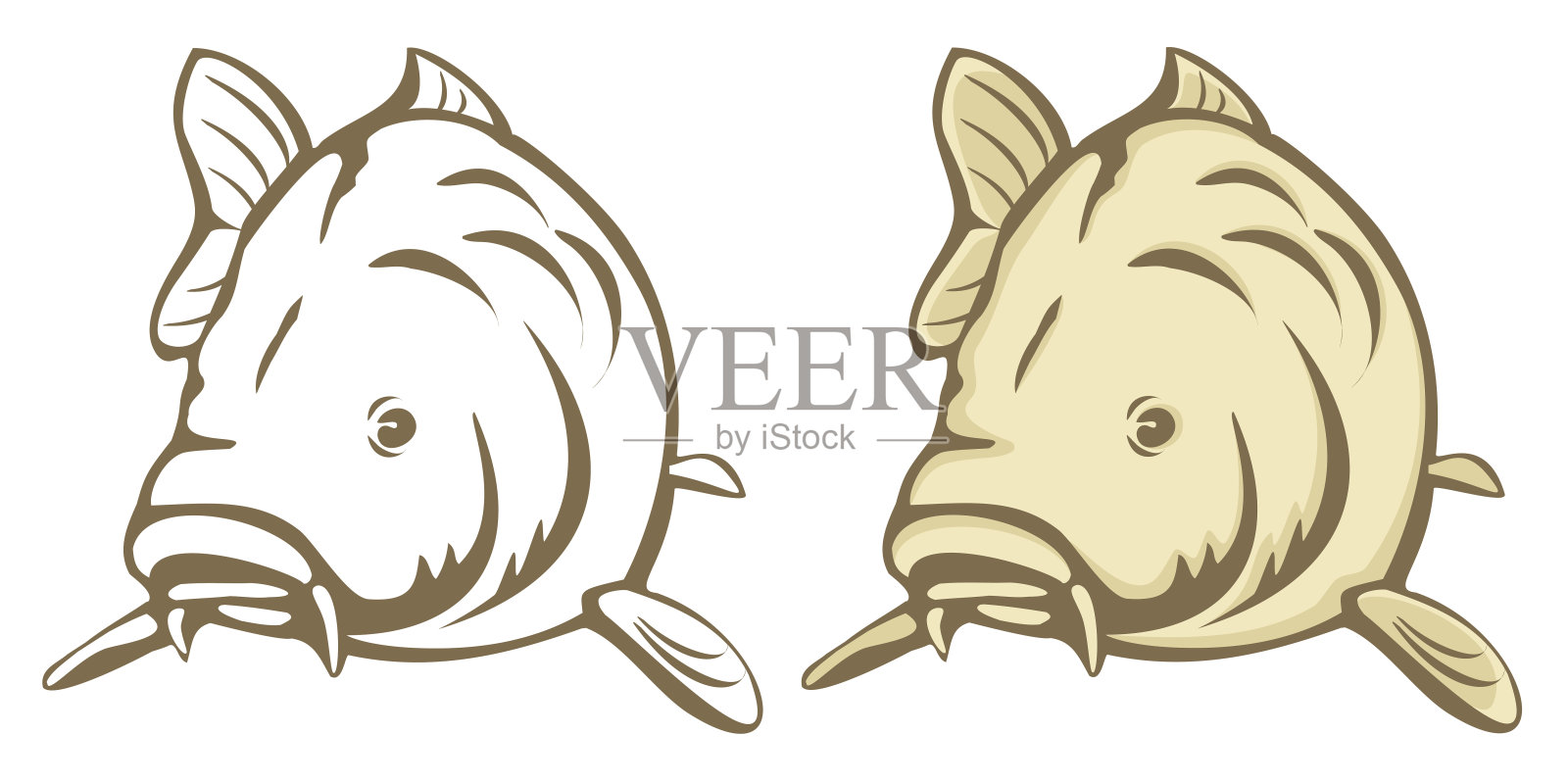 鲤鱼鱼插画图片素材