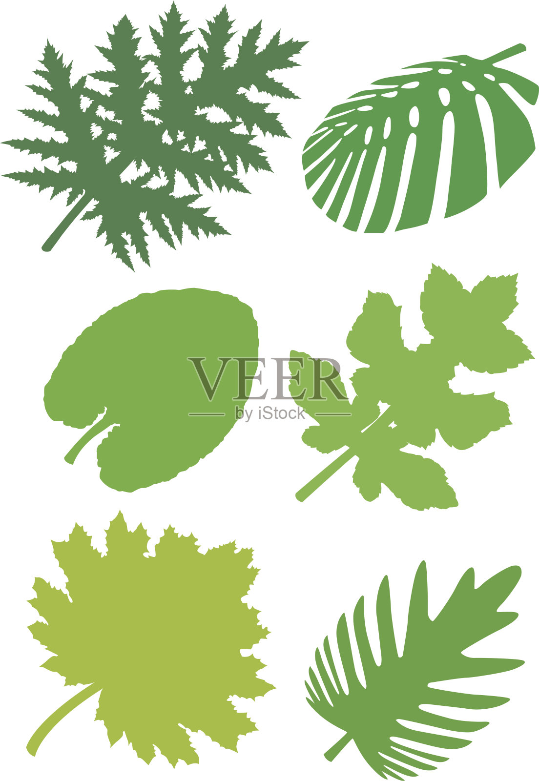 monsterleafs八世插画图片素材