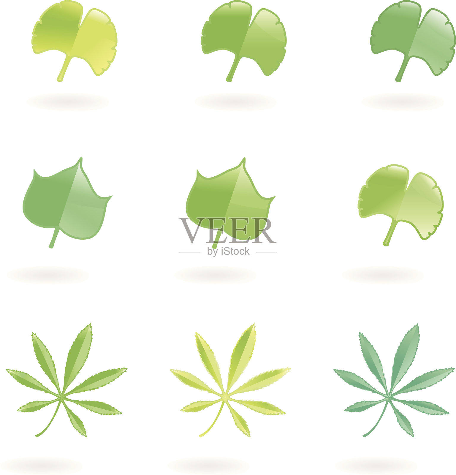 柔软的树叶X插画图片素材