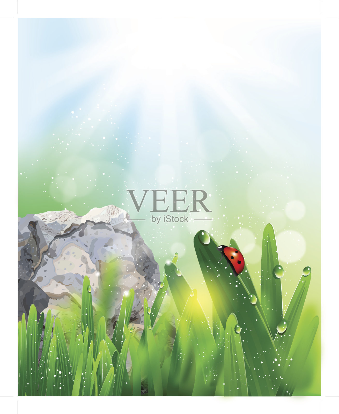 绿草上的瓢虫插画图片素材