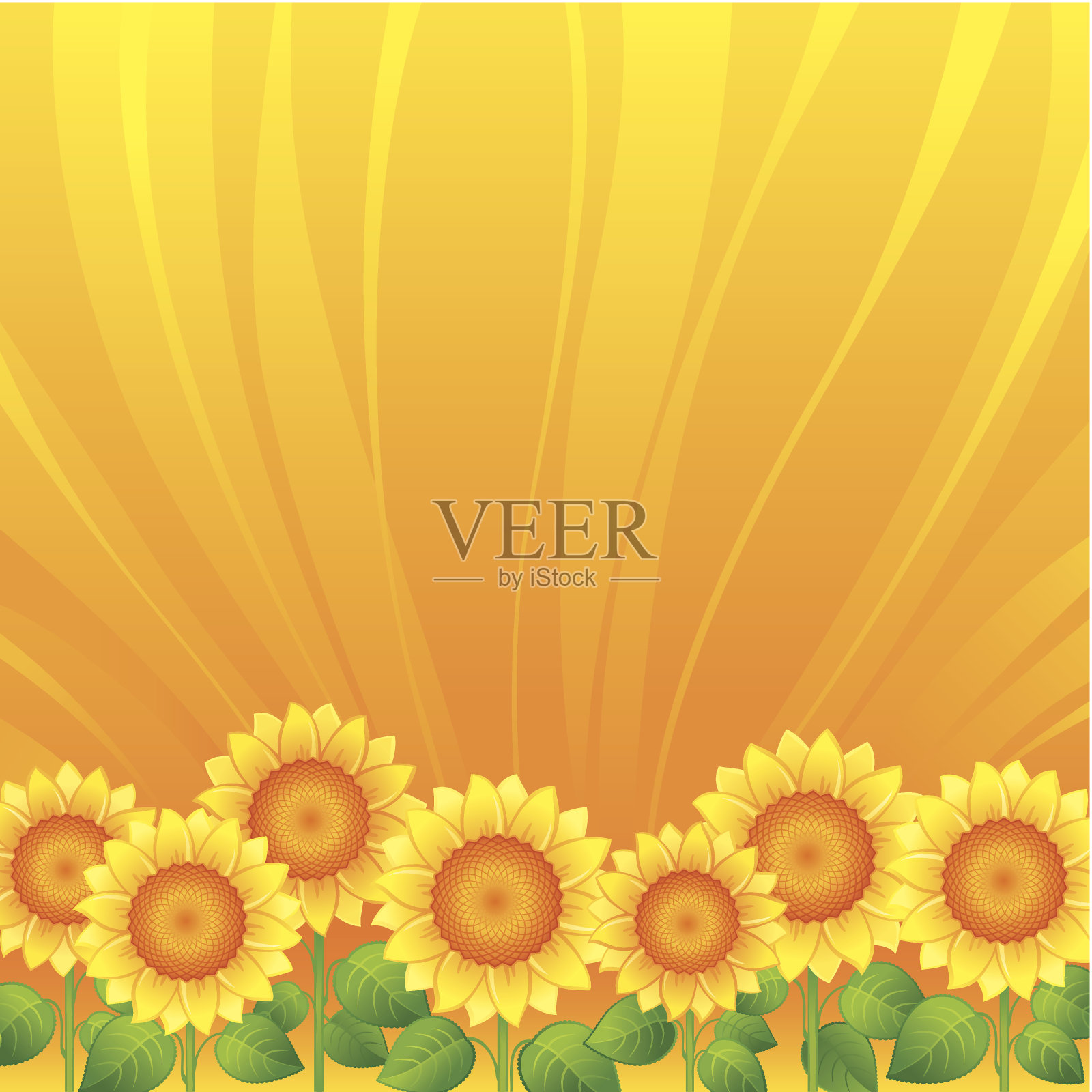 向日葵插画图片素材