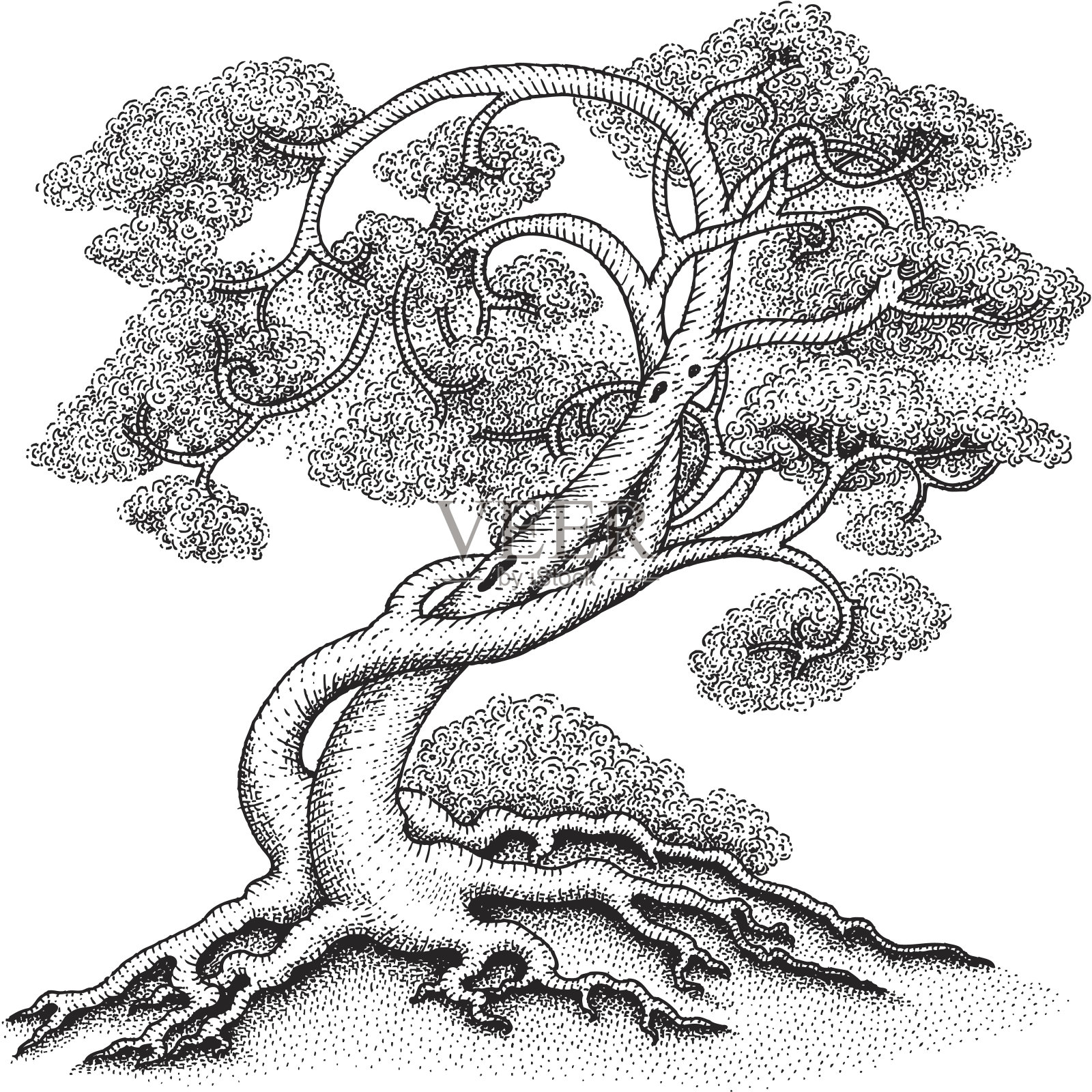 树插画图片素材