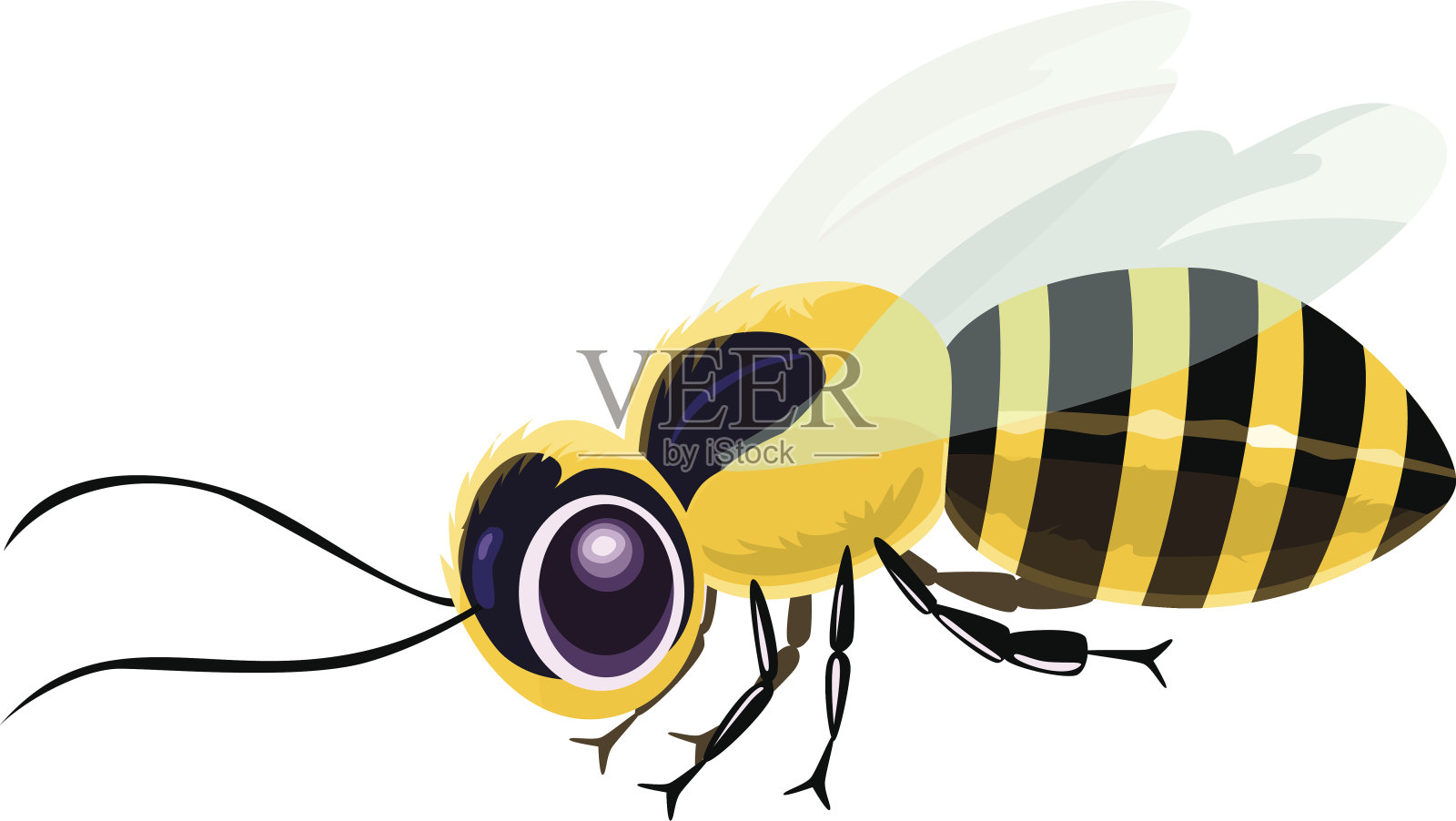 蜜蜂设计元素图片