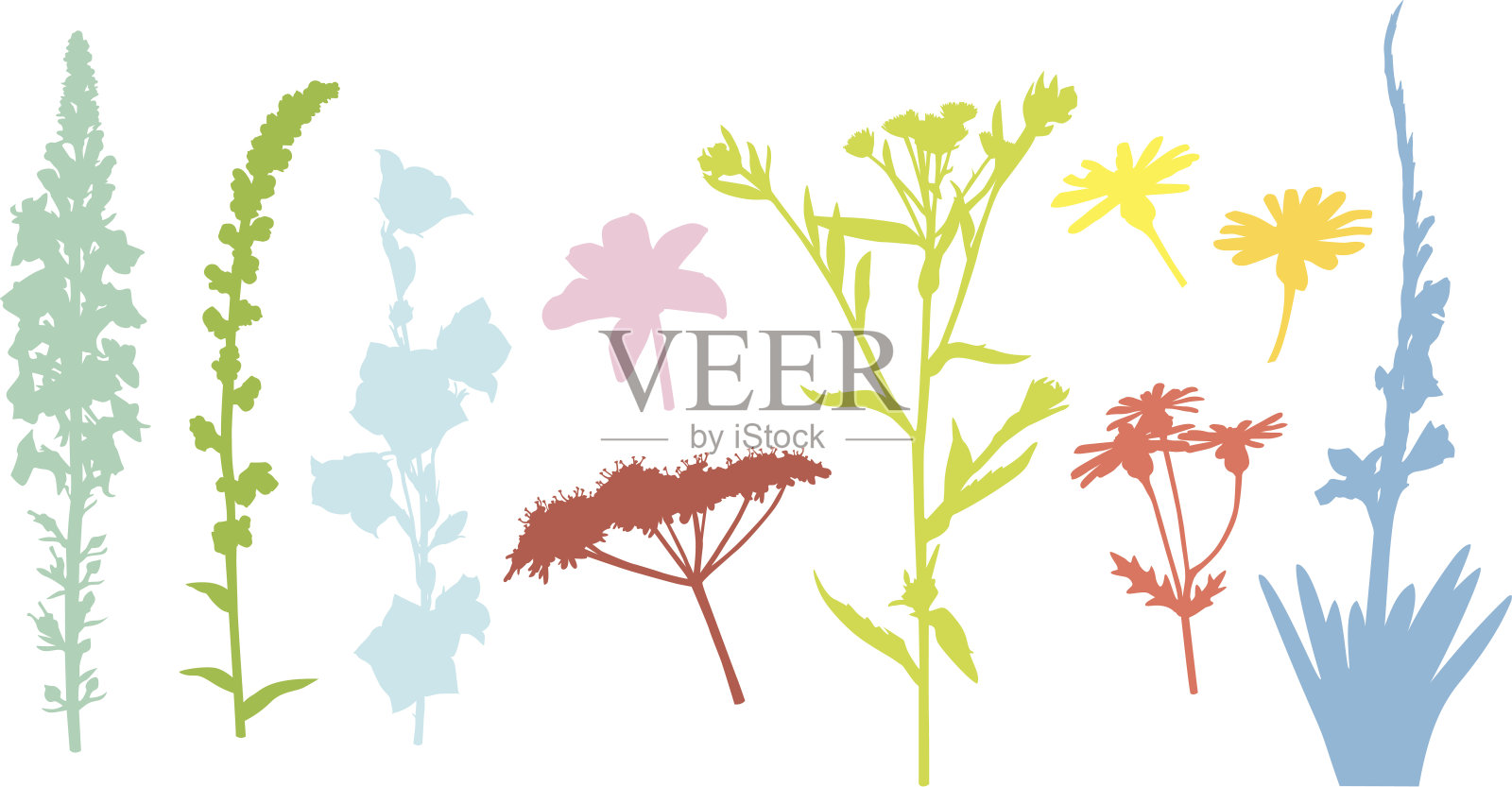 植物和花的形状第二十四插画图片素材