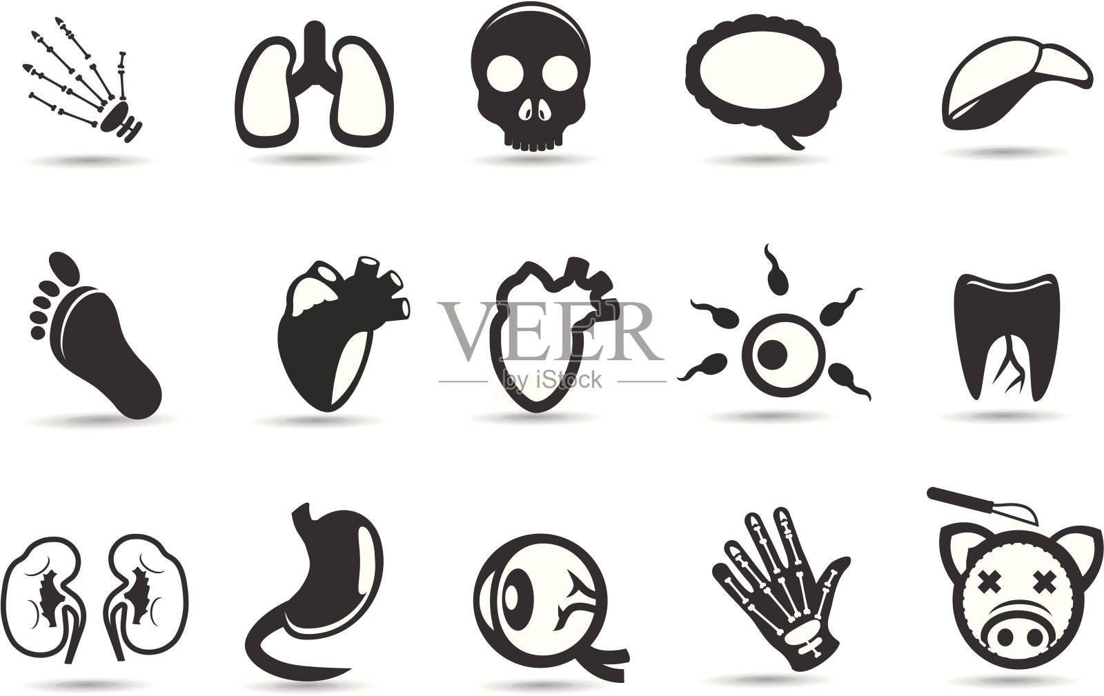 医疗和器官图标插画图片素材