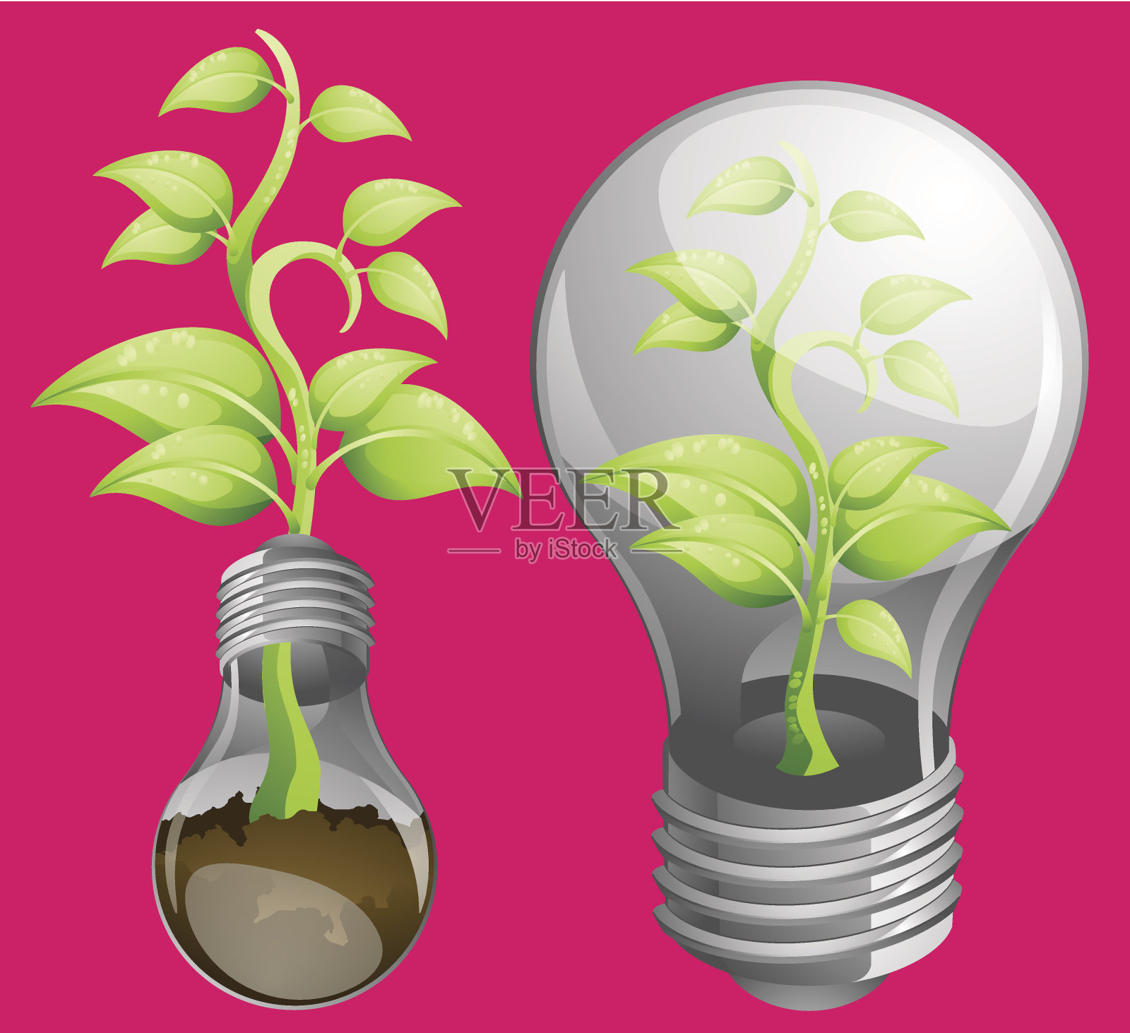 植物和灯泡插画图片素材