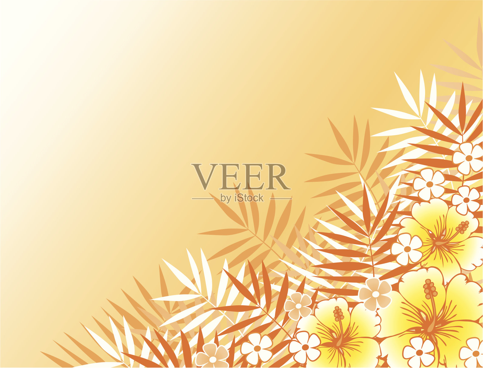 热带框架插画图片素材