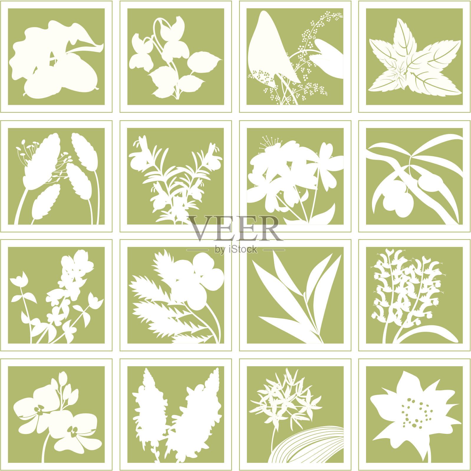 草本植物剪影集O - W插画图片素材