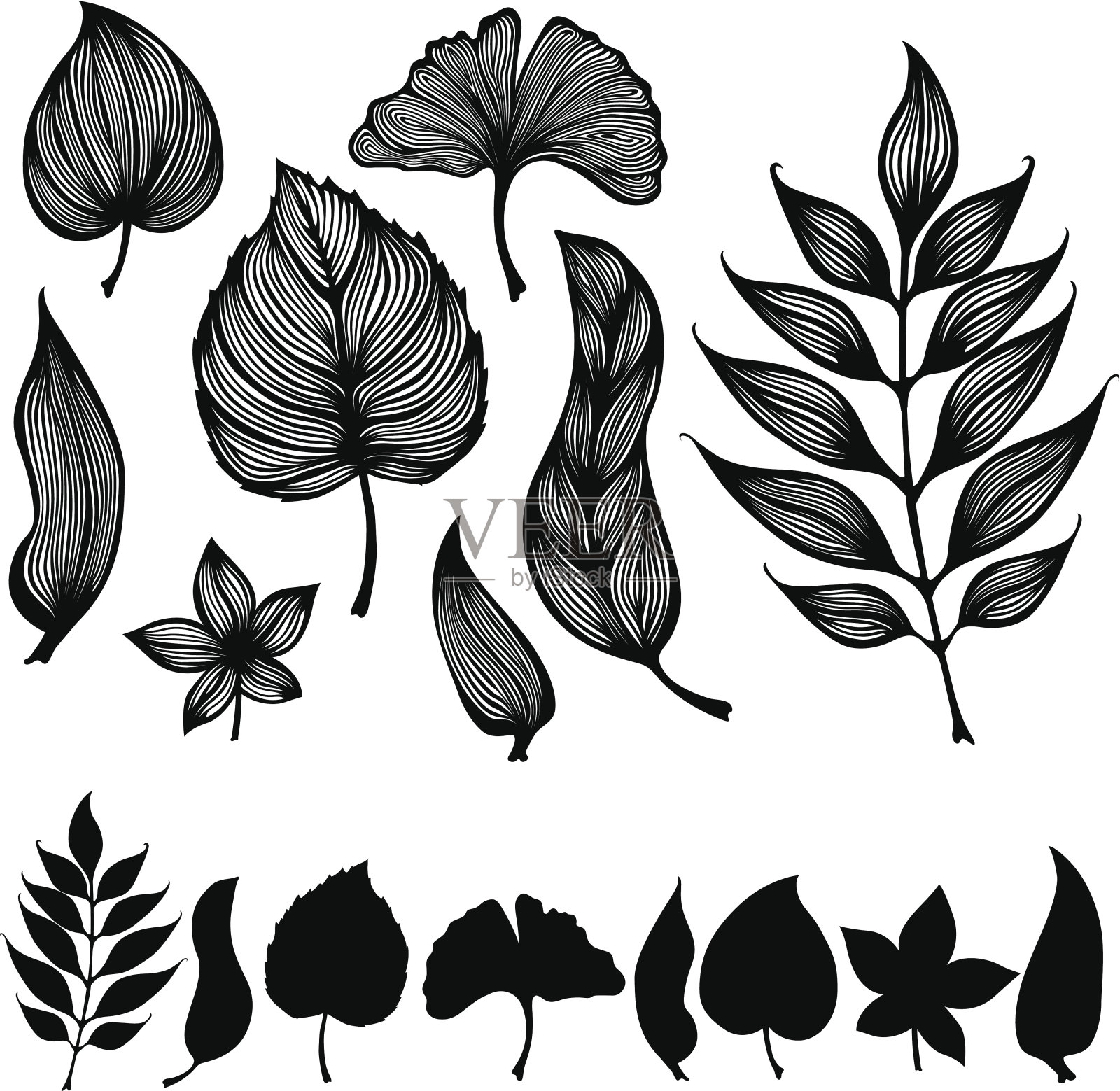 纠结的叶子插画图片素材