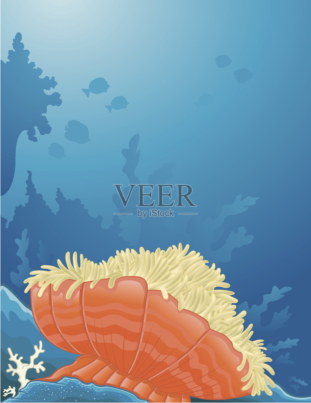 海葵背景插画图片素材