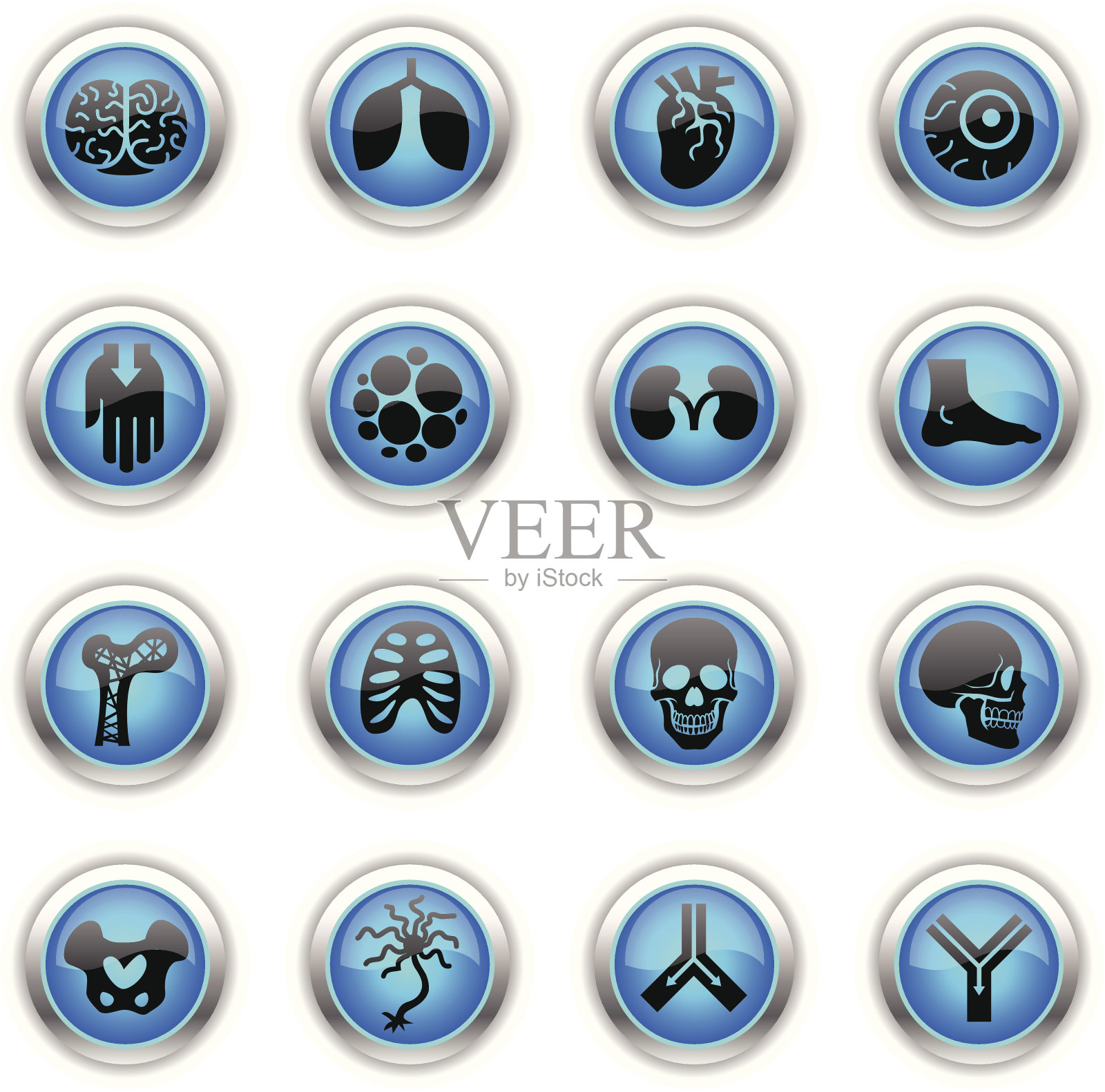 蓝色图标-解剖学插画图片素材