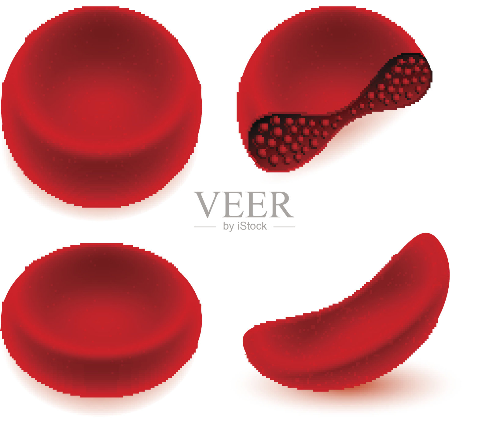 红血球医学说明插画图片素材