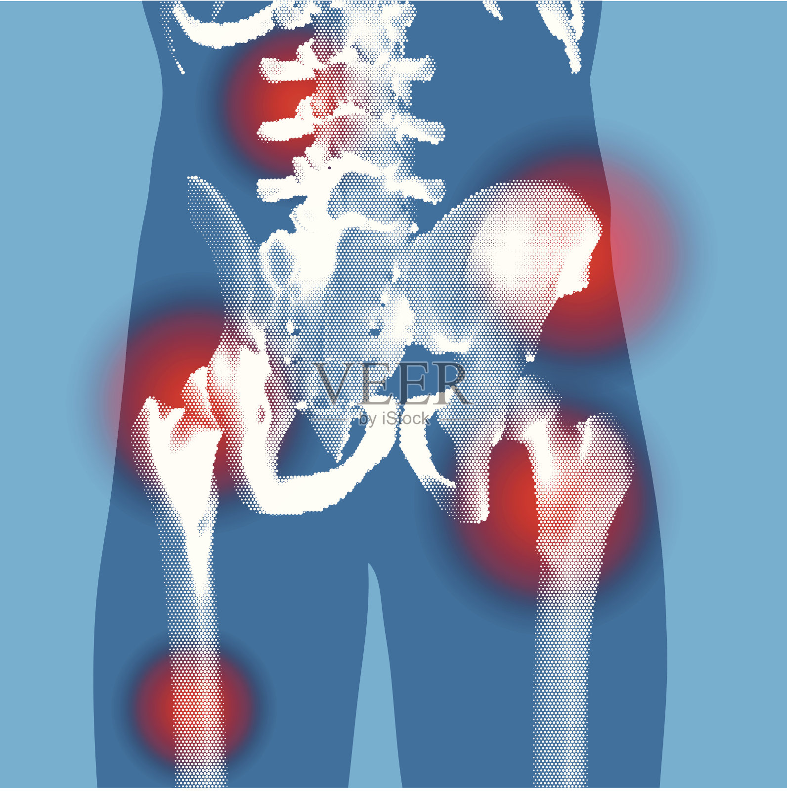 腹部-风格化后3 / 4 x射线视图插画图片素材