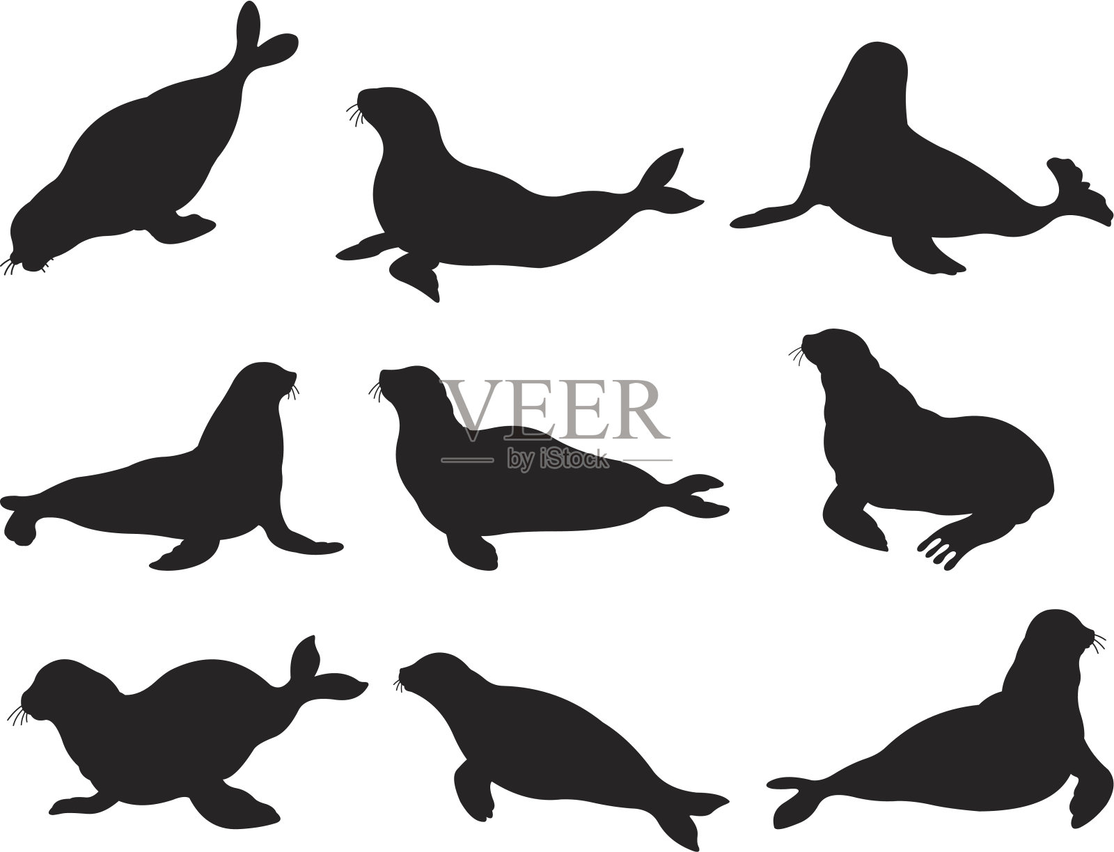 海豹在行动设计元素图片