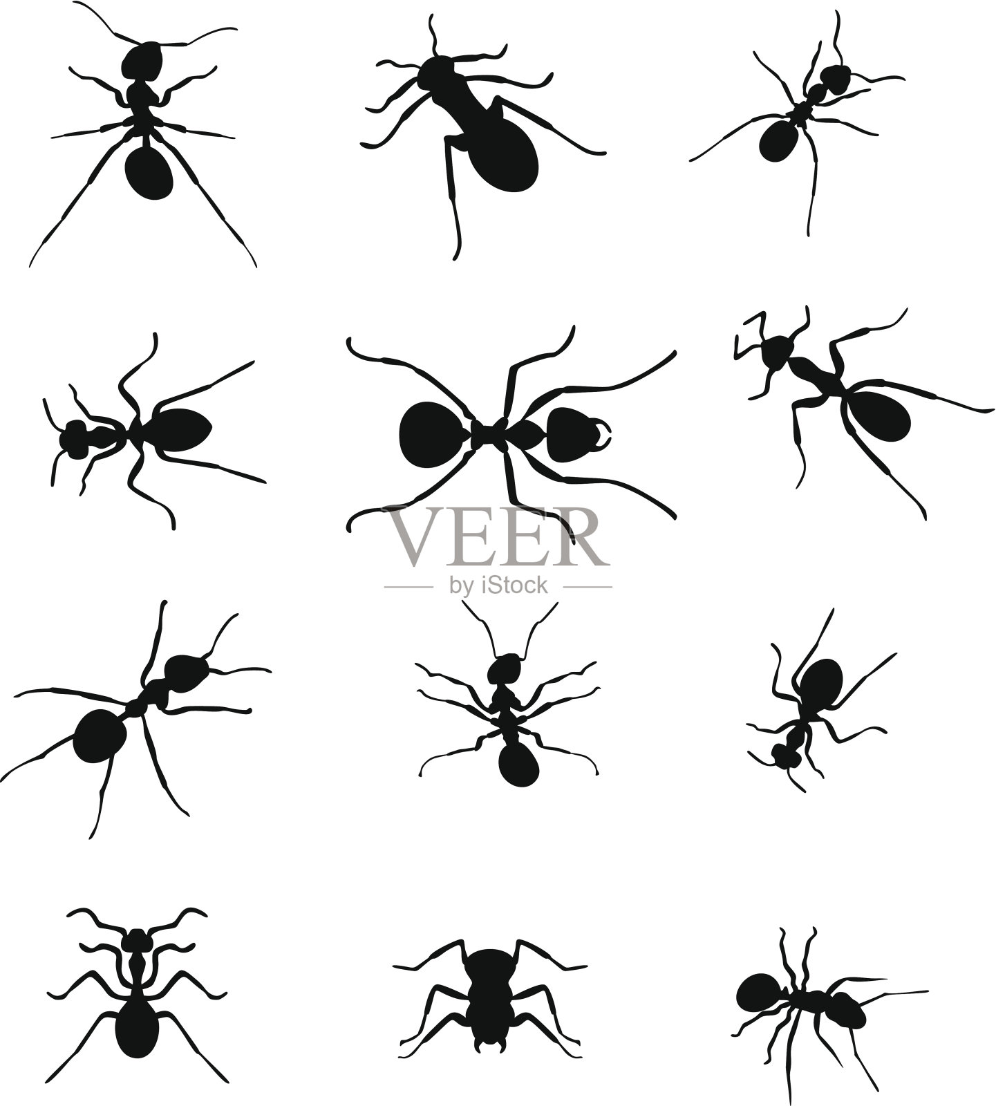 蚂蚁剪影。插画图片素材