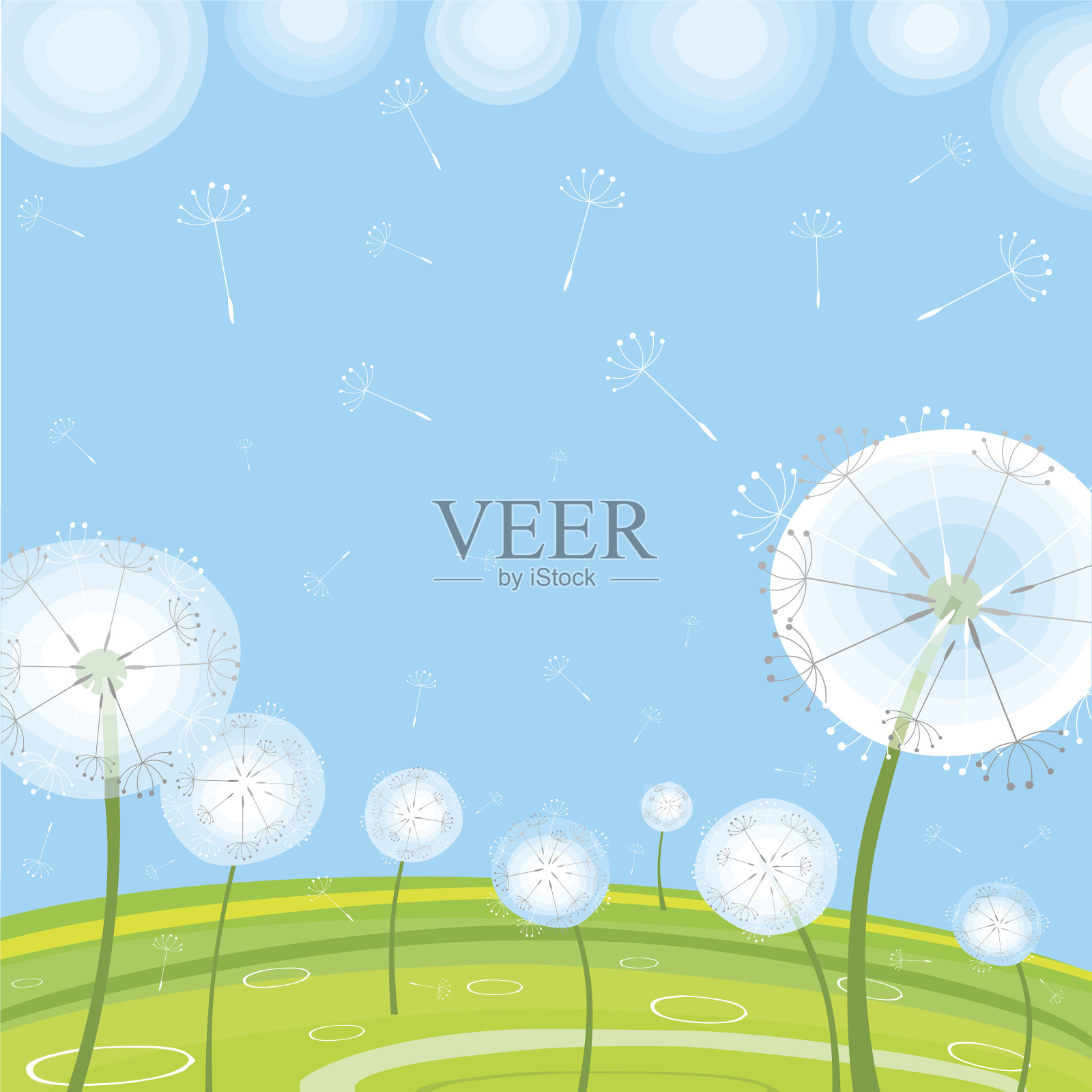 蒲公英在夏天插画图片素材