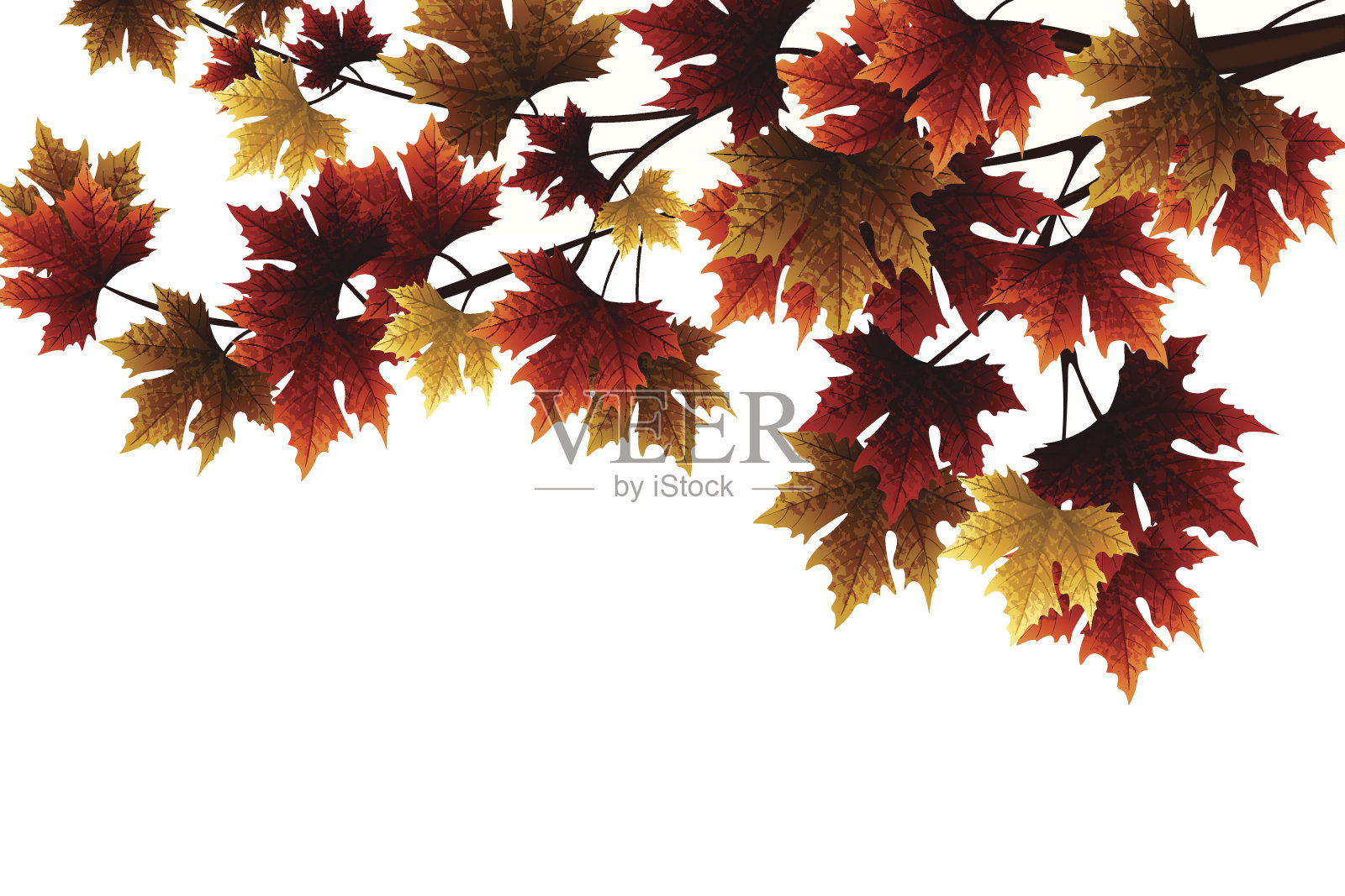 秋天的落叶插画图片素材