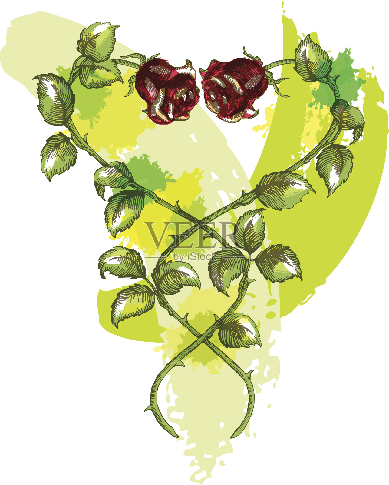 玫瑰插画图片素材