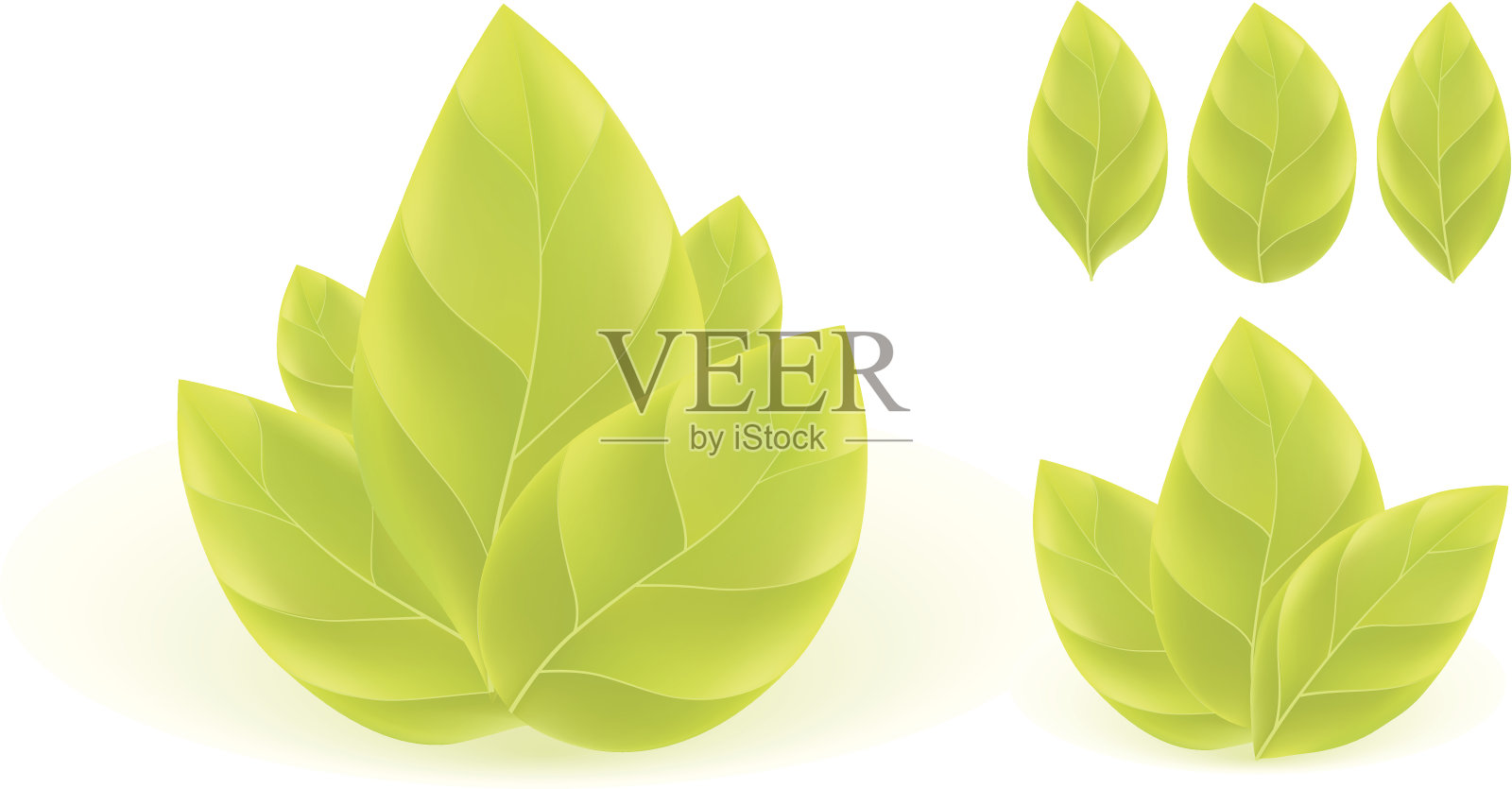 绿色的树叶插画图片素材