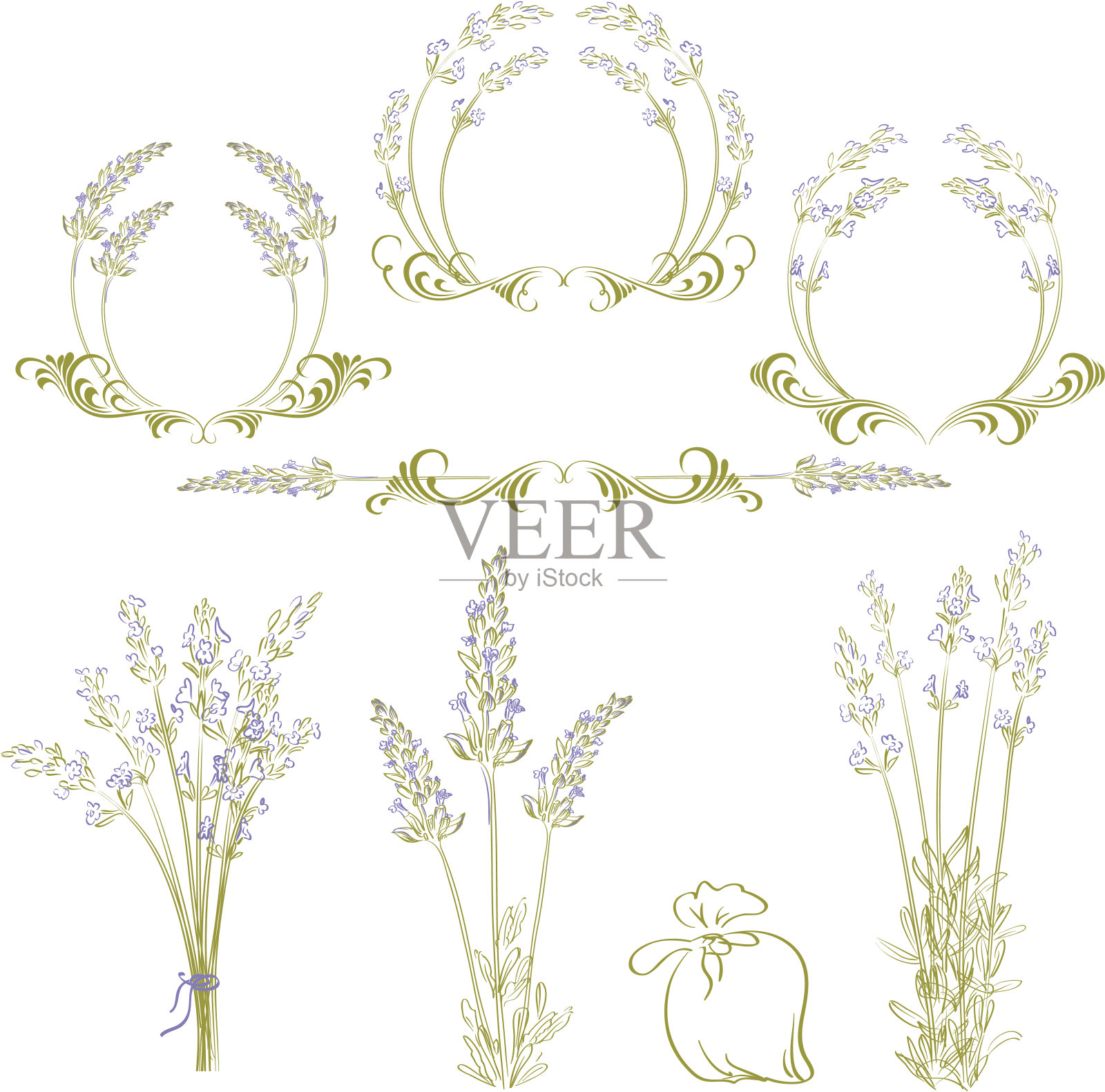 薰衣草插画图片素材