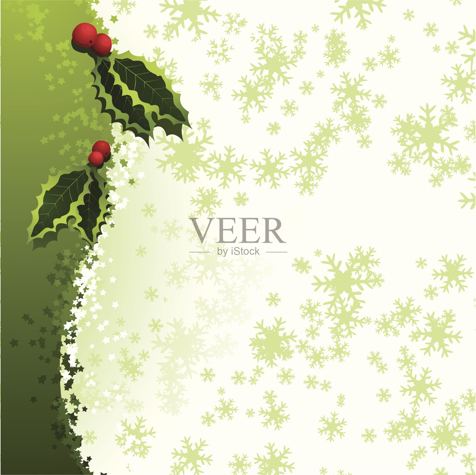 侧条纹圣诞绿冬青插画图片素材