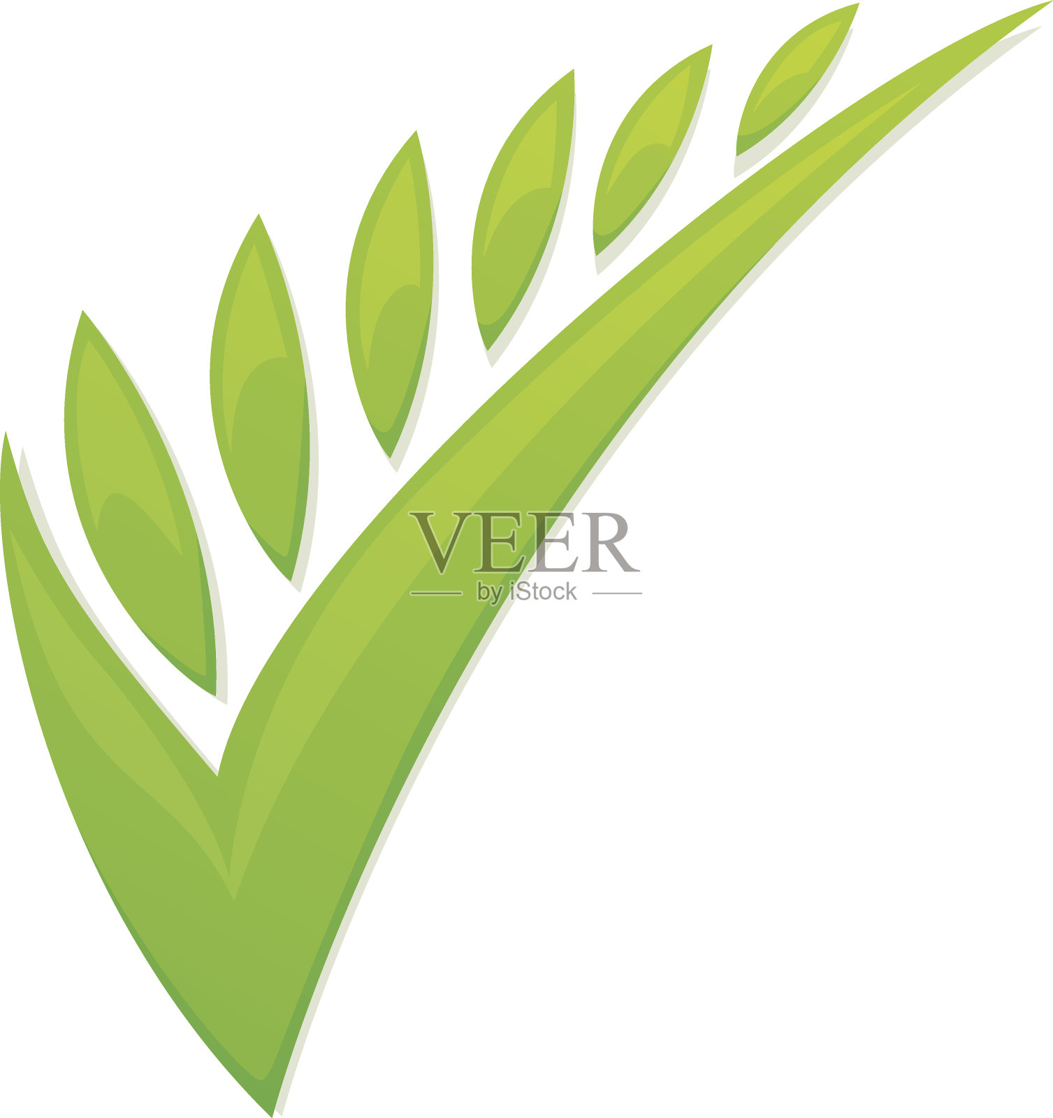 绿色的检查设计元素图片