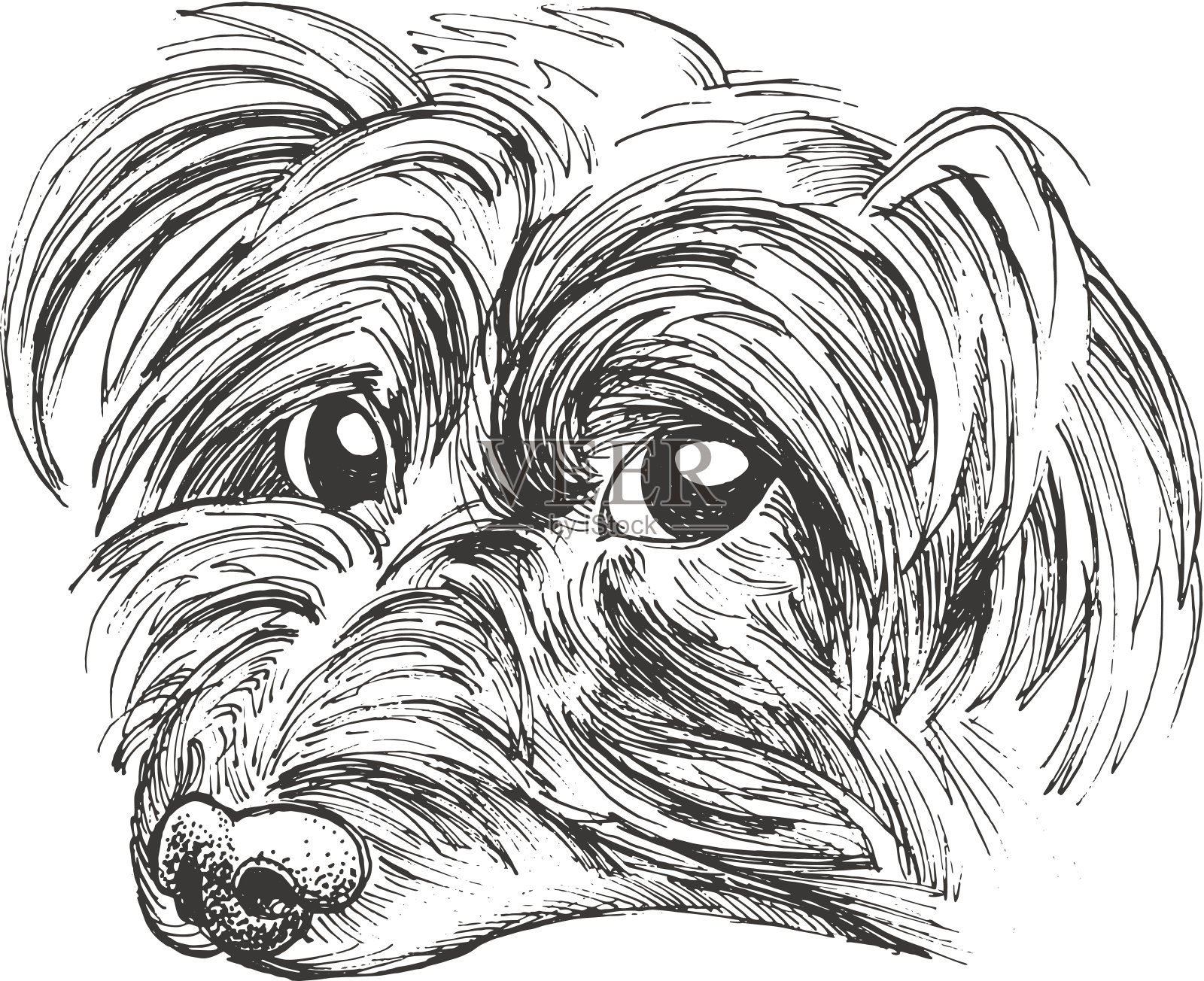 小约克夏插画图片素材