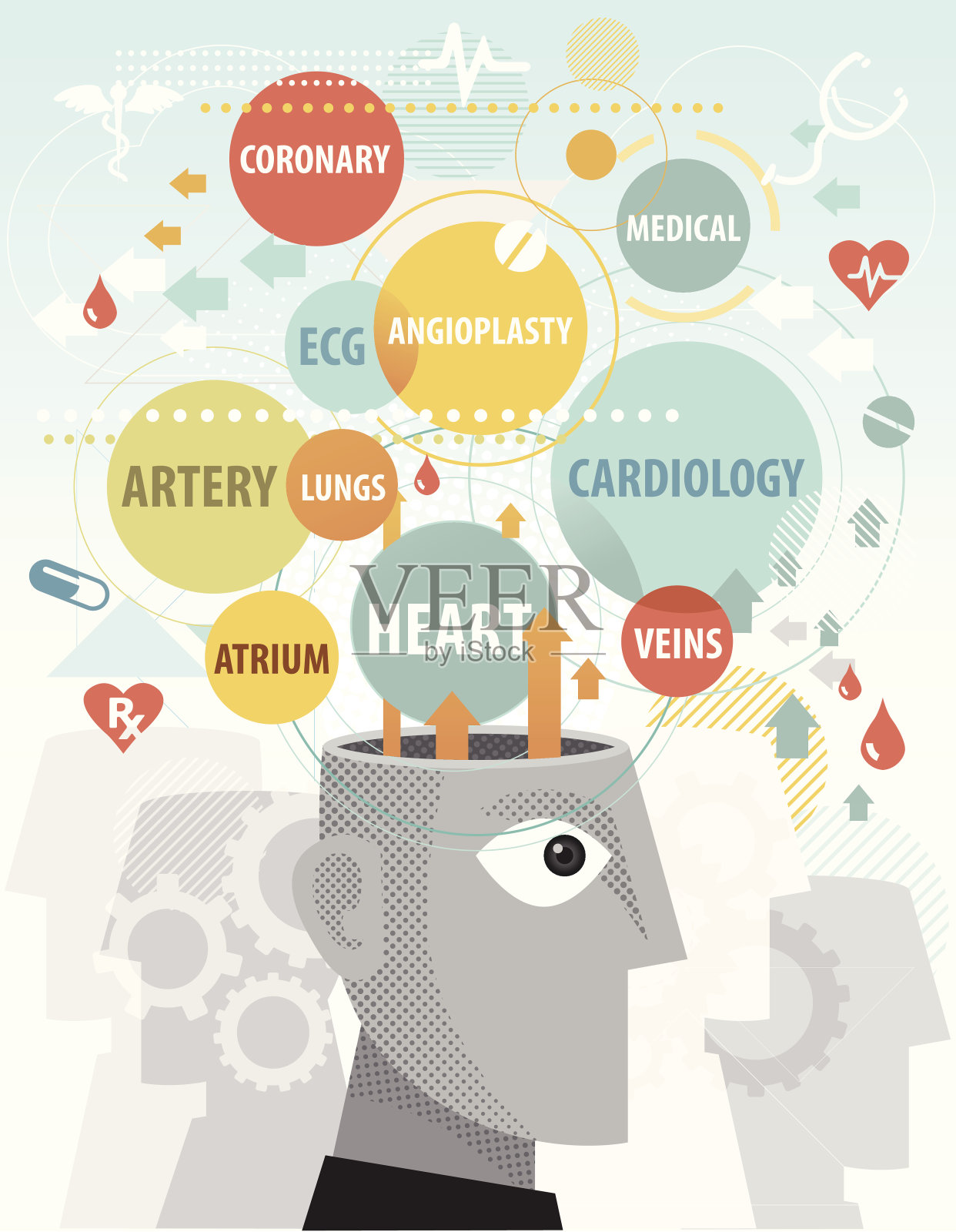 心脏术语插画图片素材