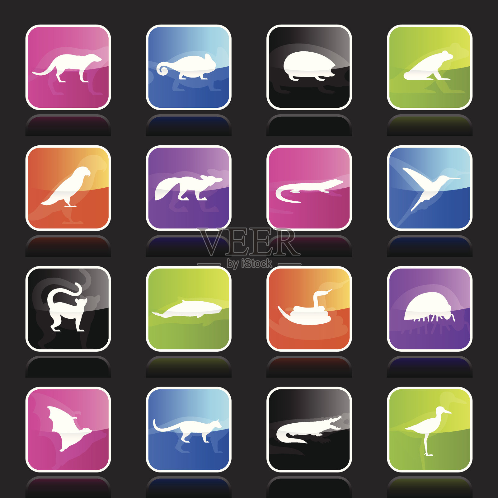 Ubergloss图标-马达加斯加动物图标素材