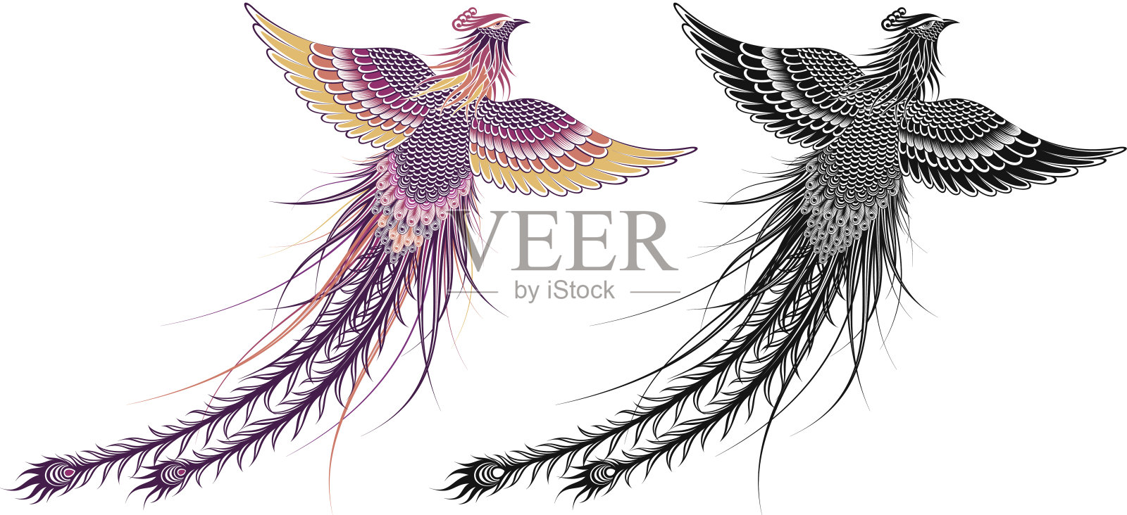 传说中的凤凰鸟插画图片素材