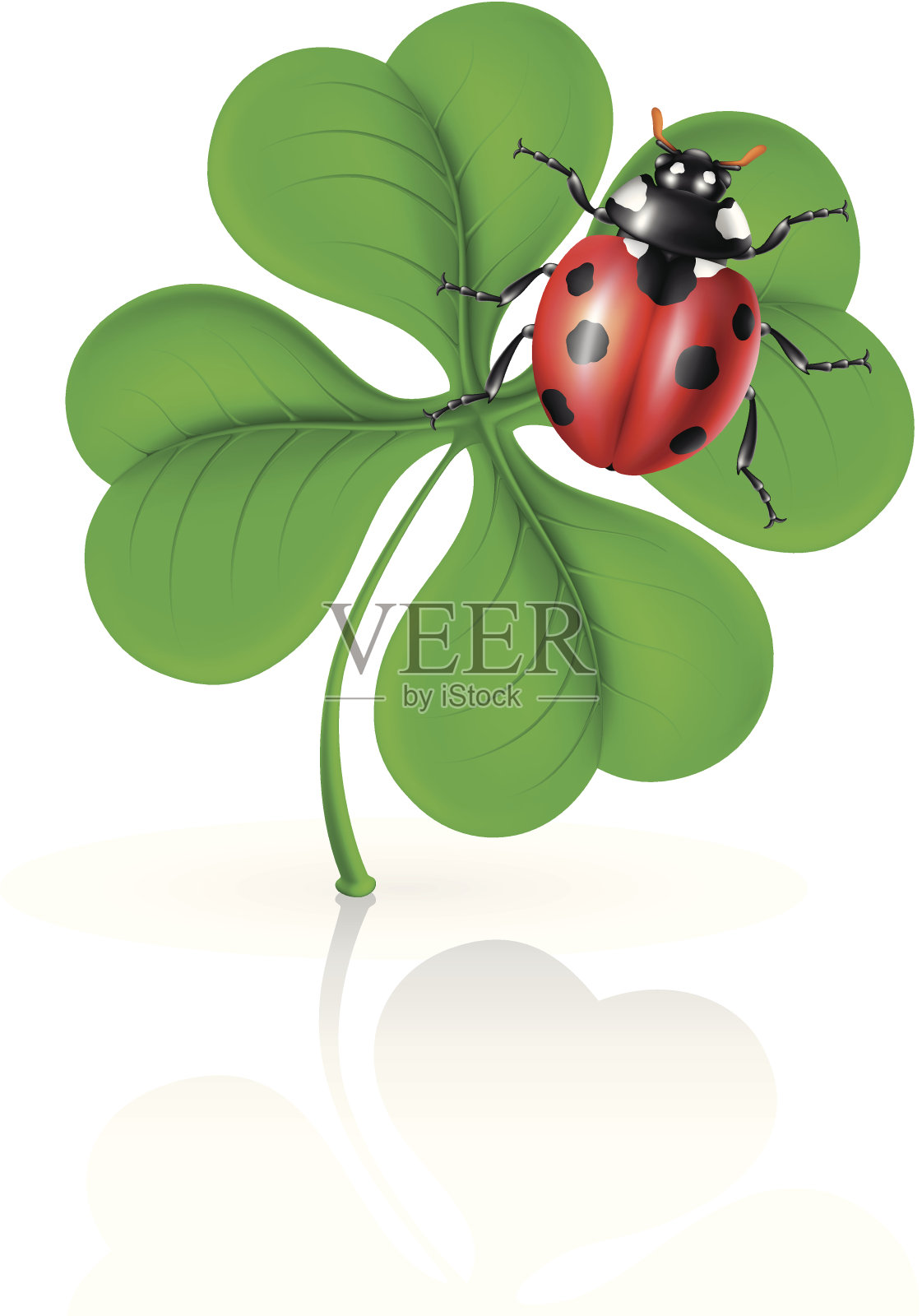四叶草瓢虫设计元素图片
