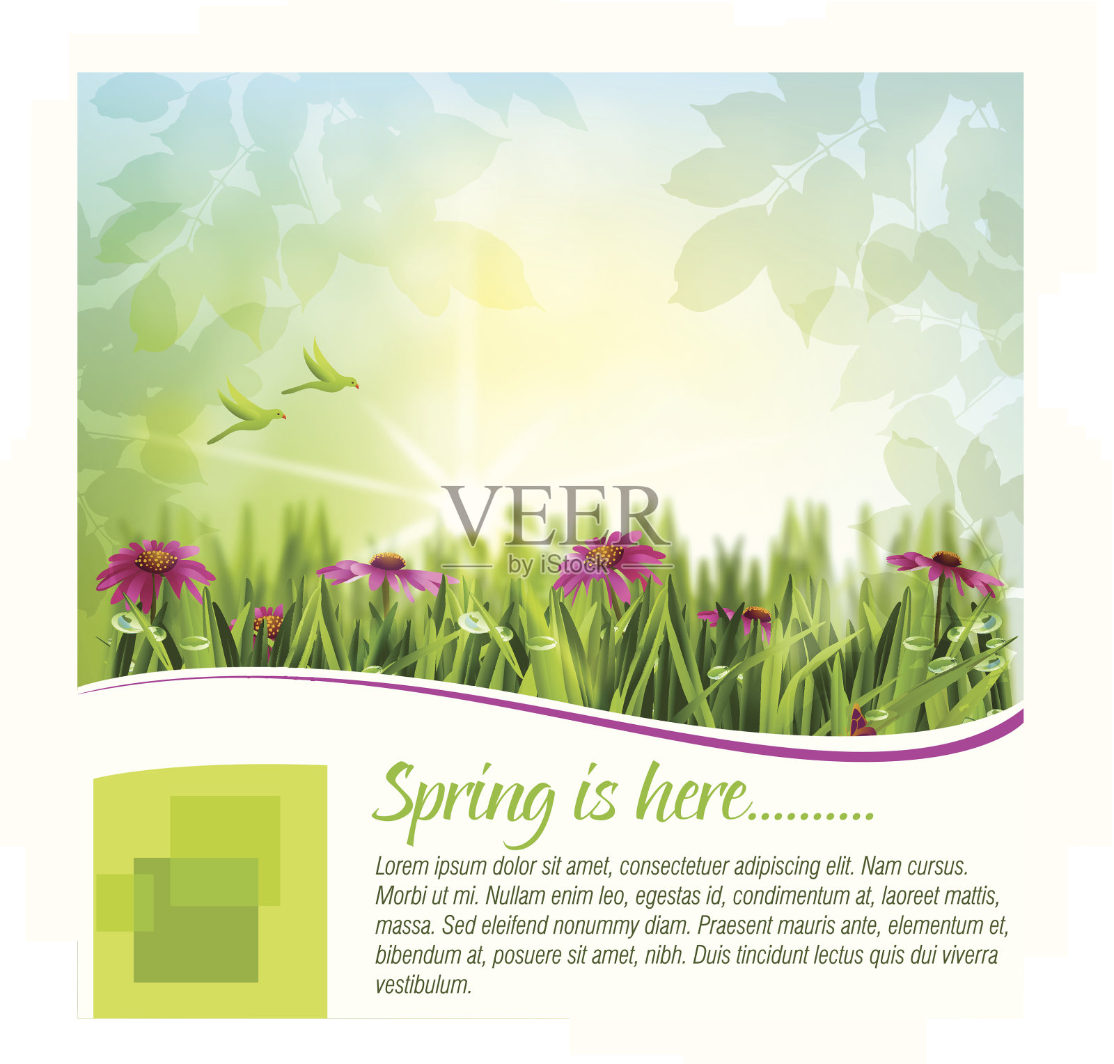 美丽的春天的背景插画图片素材